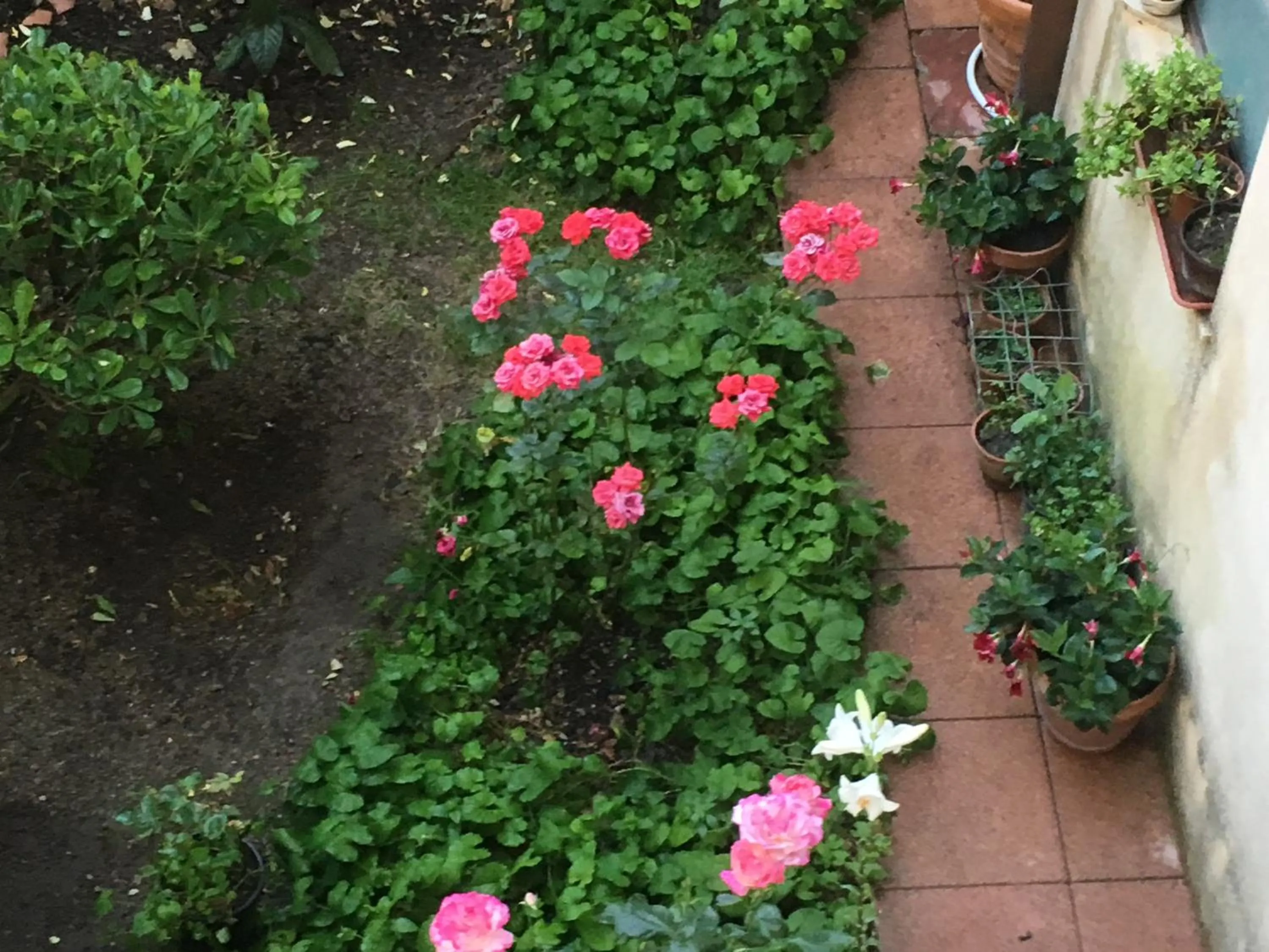 Garden in B&B Fleurs