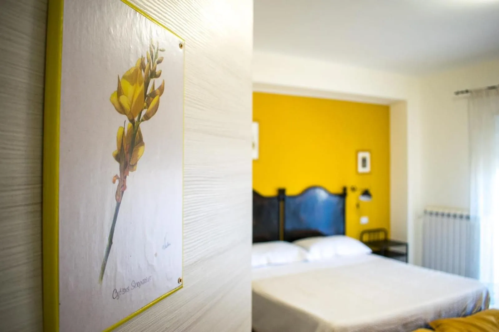 Photo of the whole room in B&B Fleurs