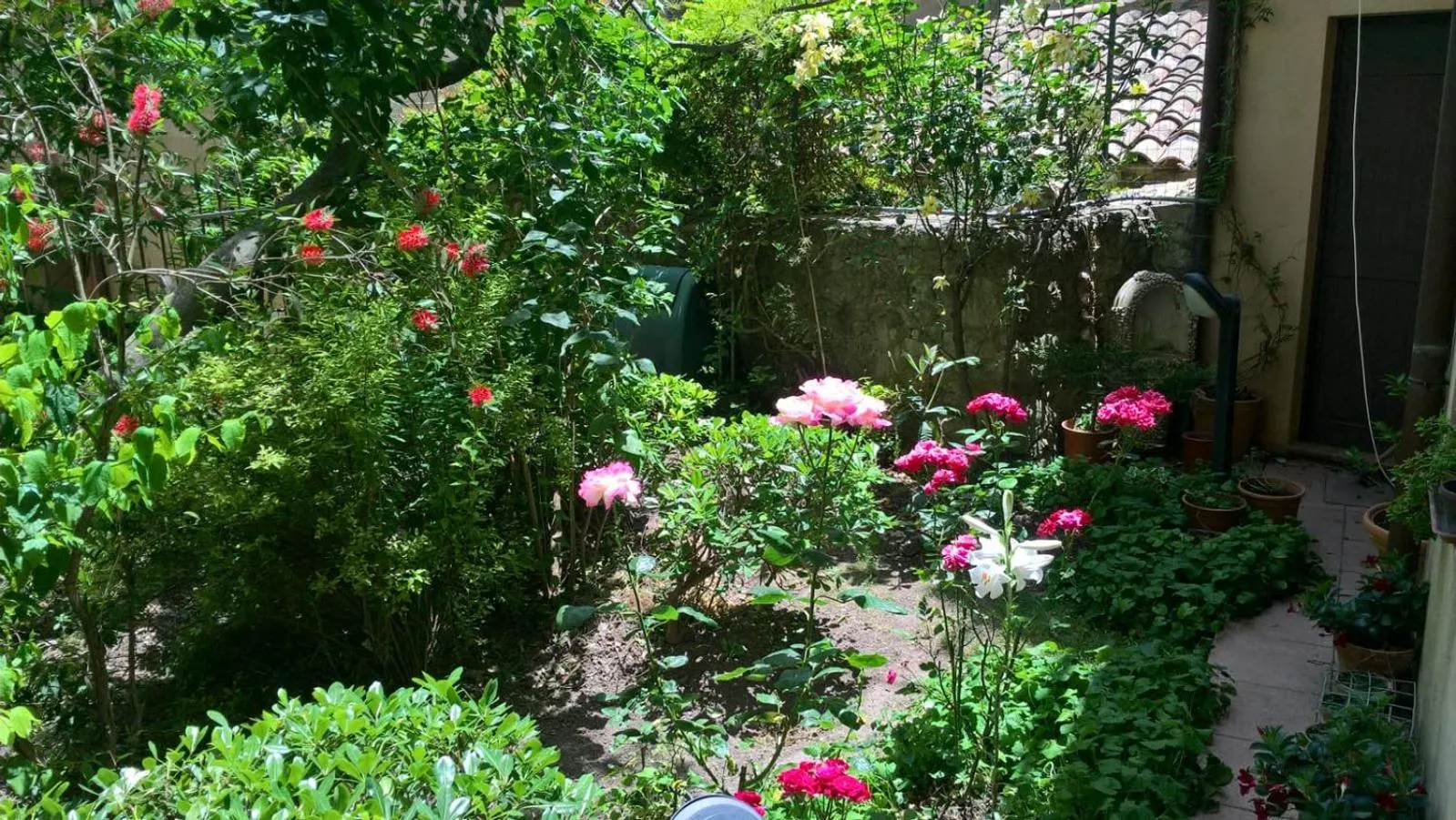 Garden view in B&B Fleurs