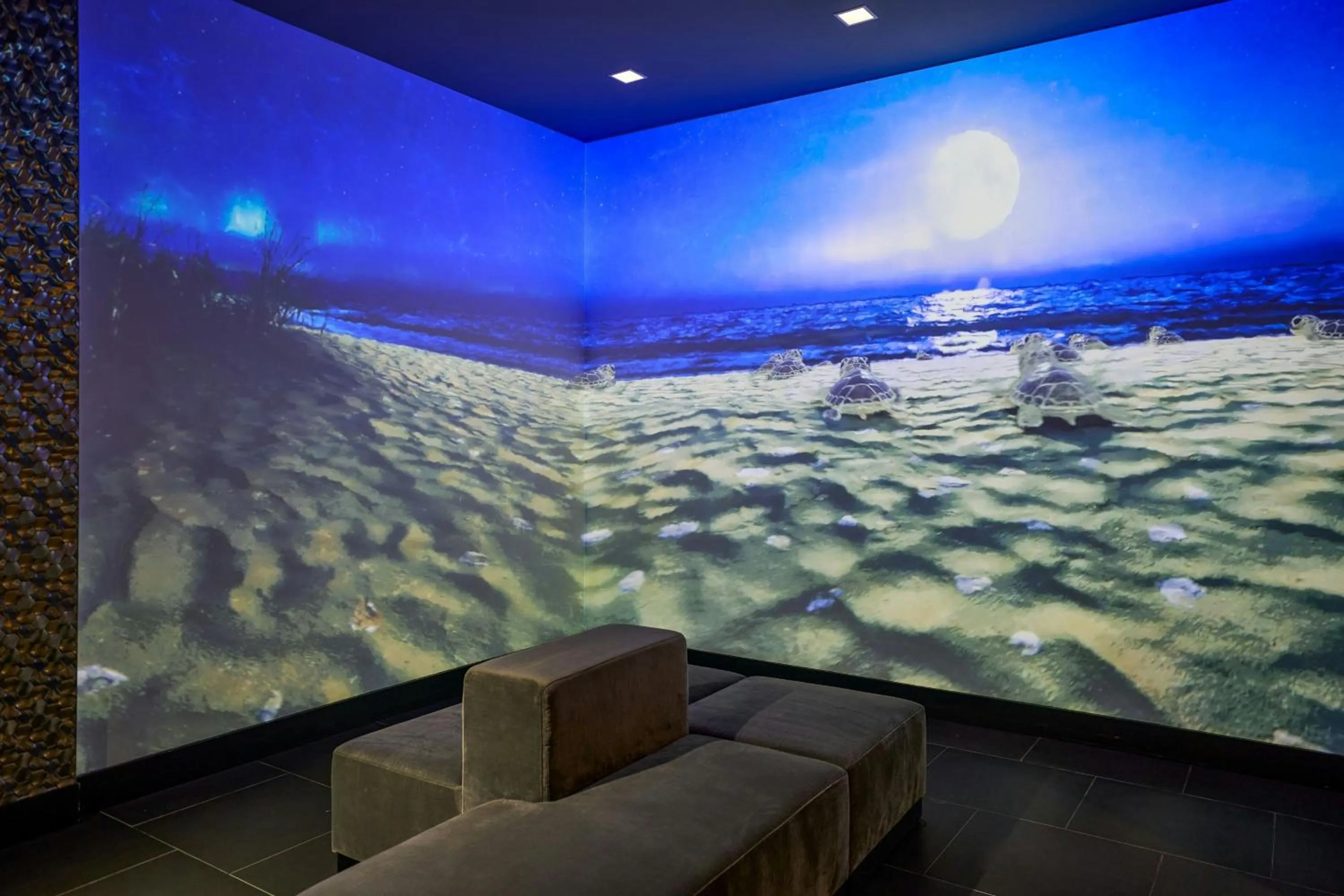 Other in Renaissance Daytona Beach Oceanfront Hotel