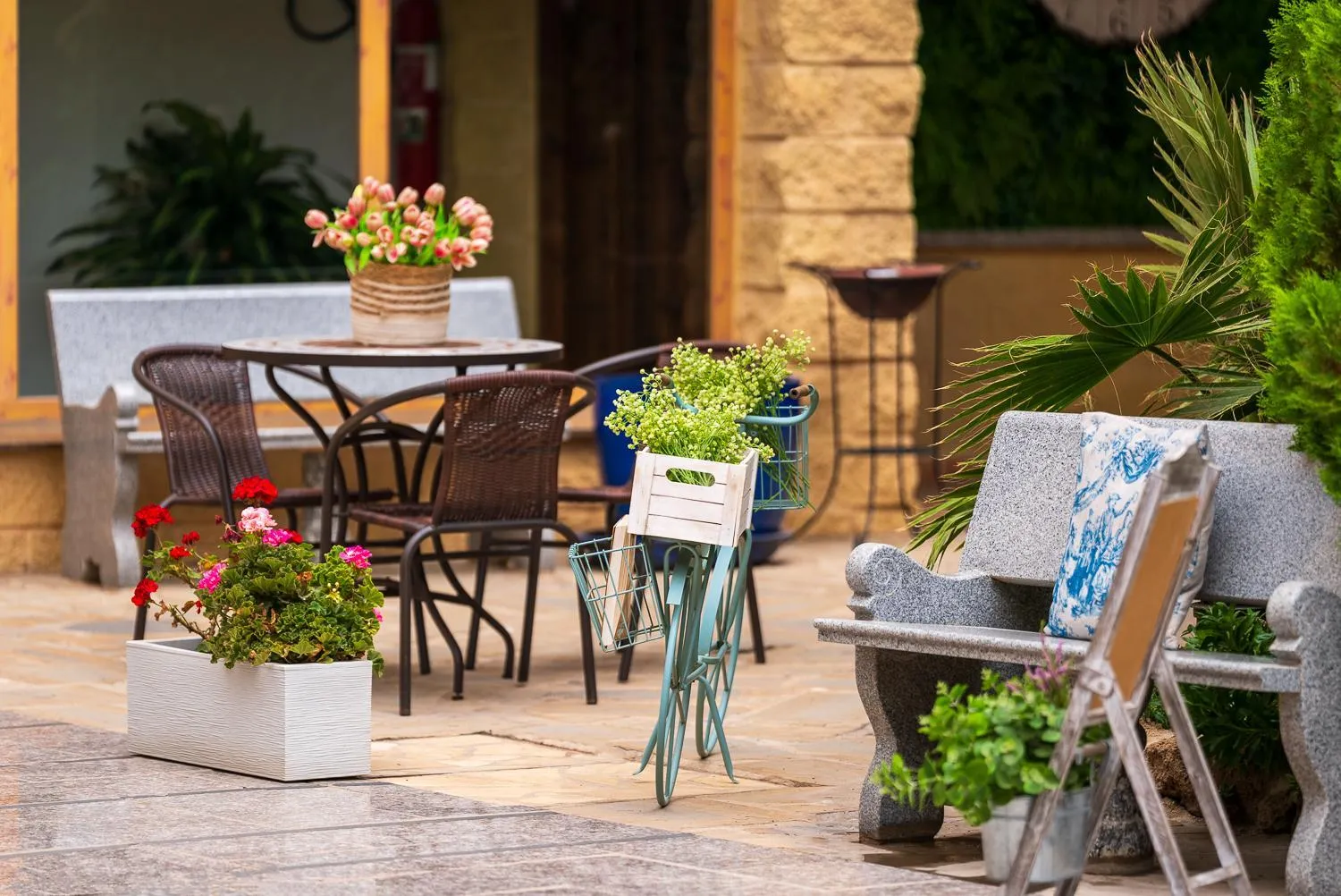 Garden in Hotel Plaza Del Castillo