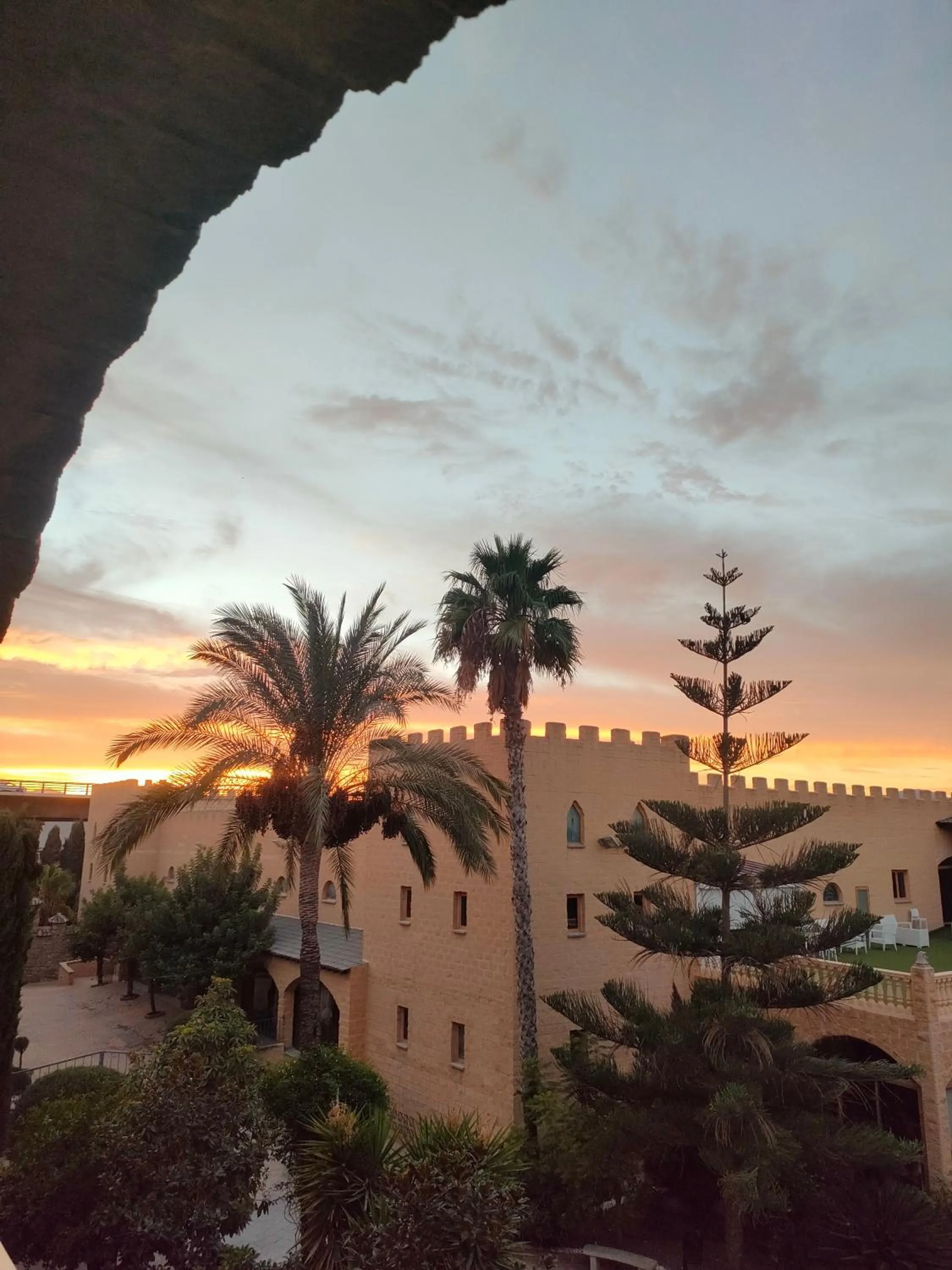 Garden in Hotel Plaza Del Castillo
