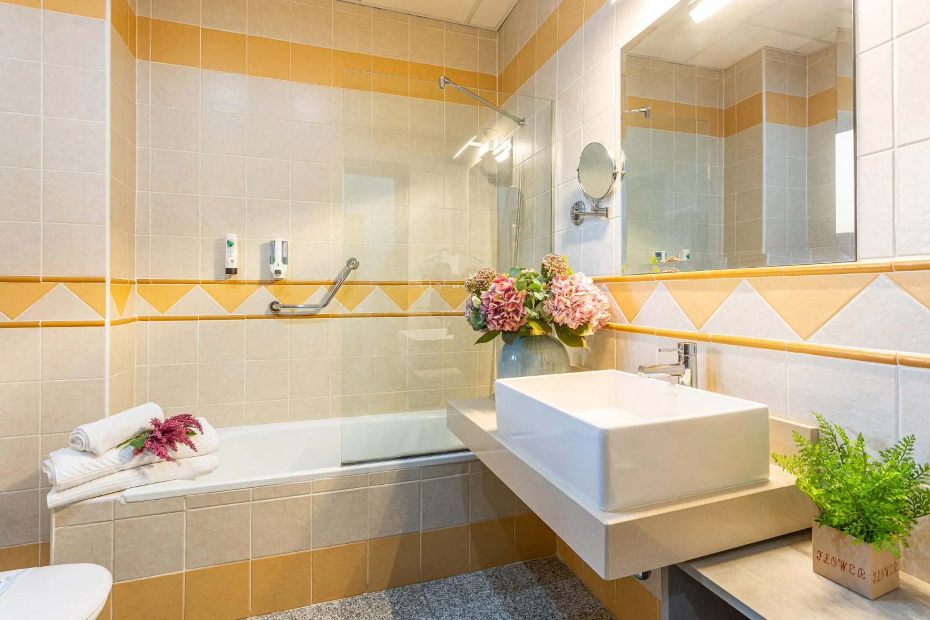 Bathroom in Hotel Plaza Del Castillo