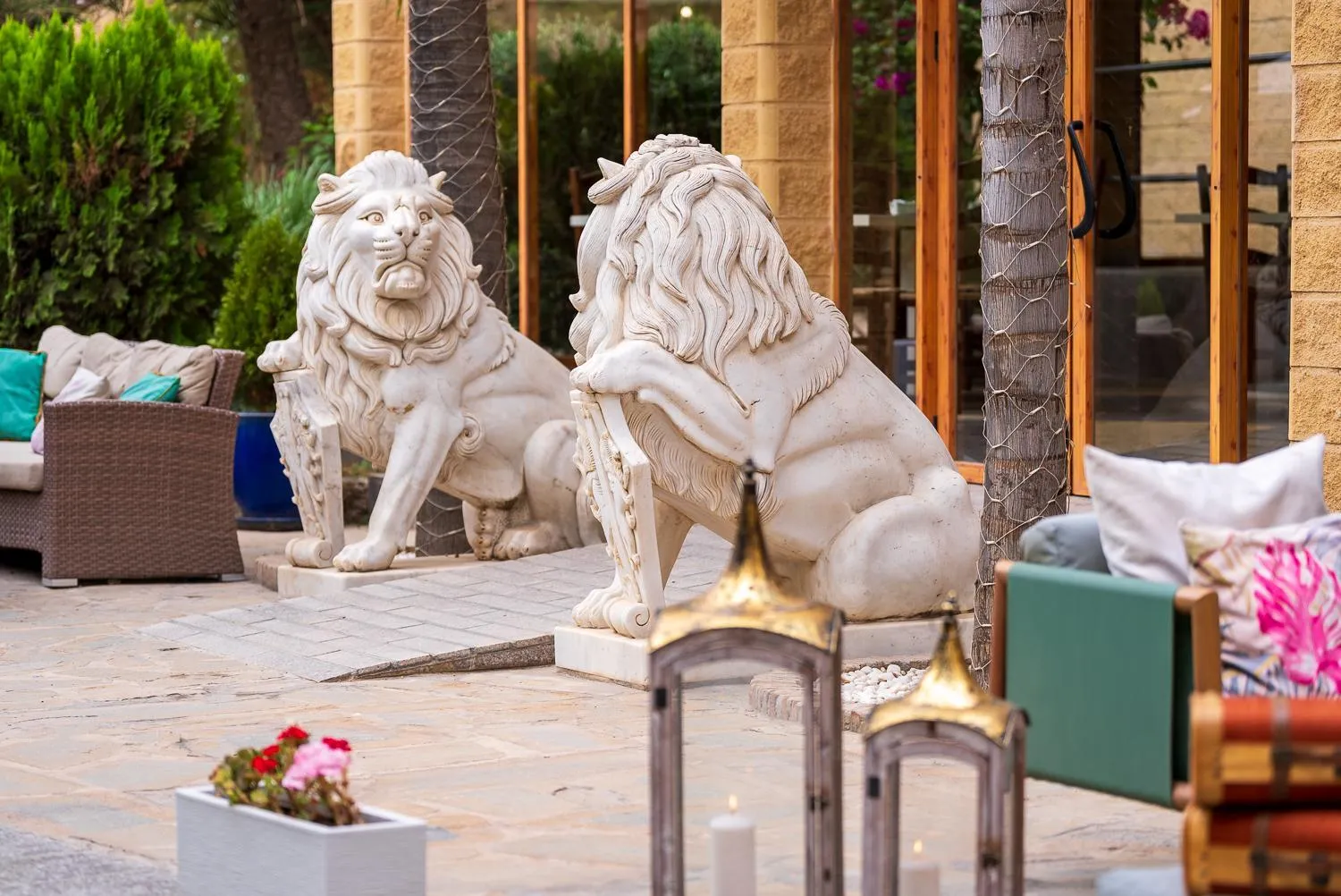 Garden in Hotel Plaza Del Castillo