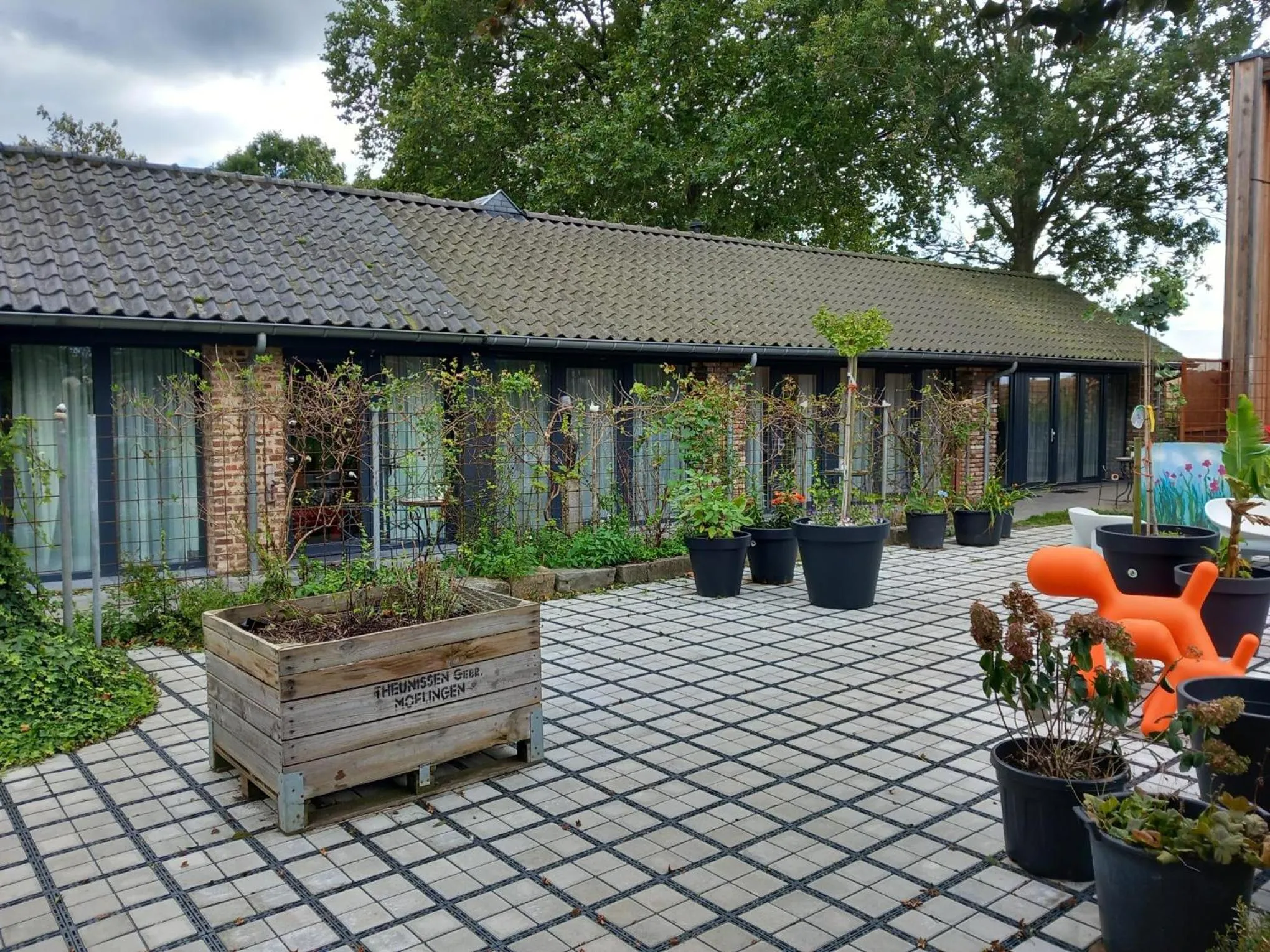 Balcony/Terrace in Meschermolen