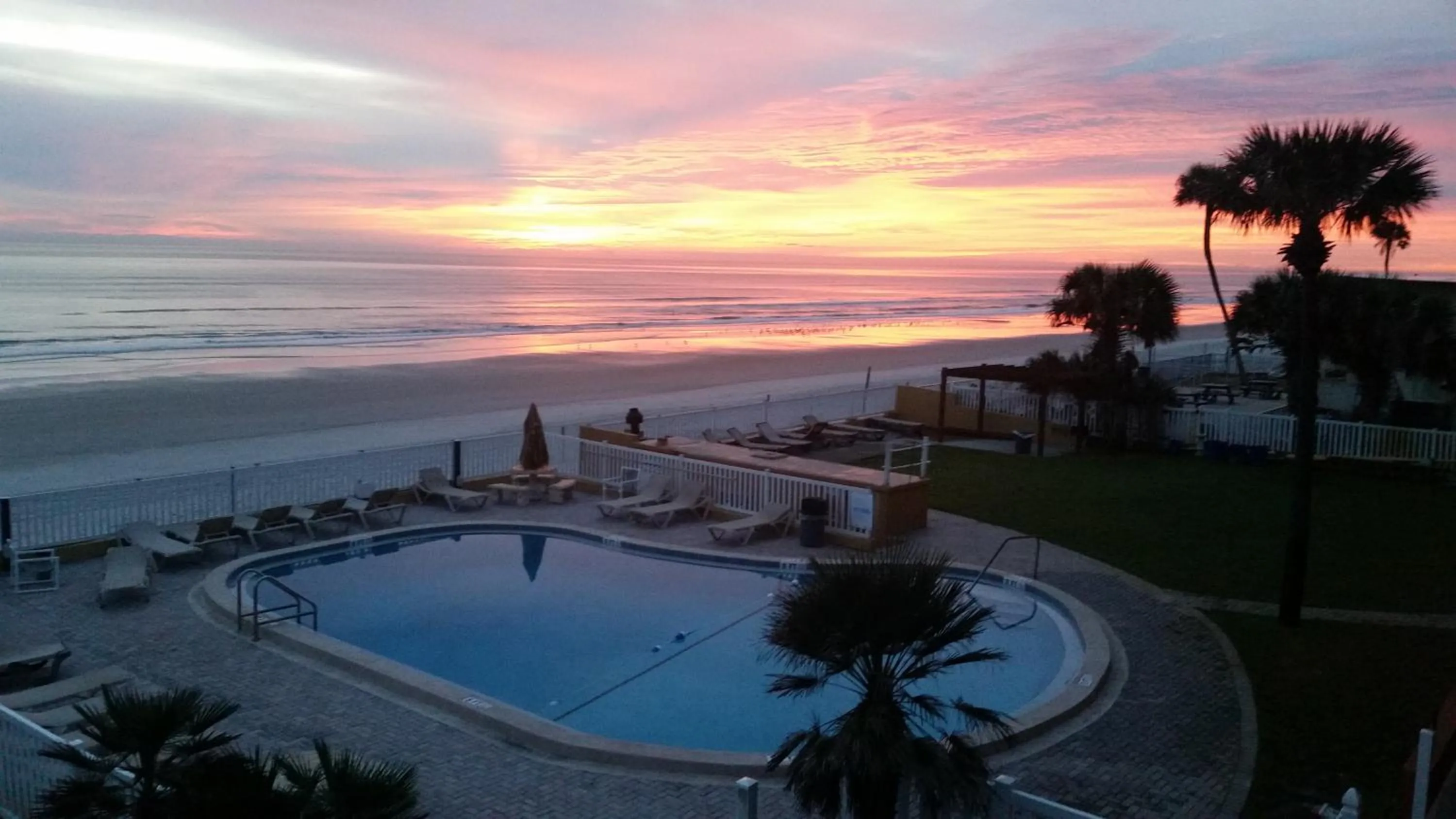 Natural landscape in Driftwood Beach Motel