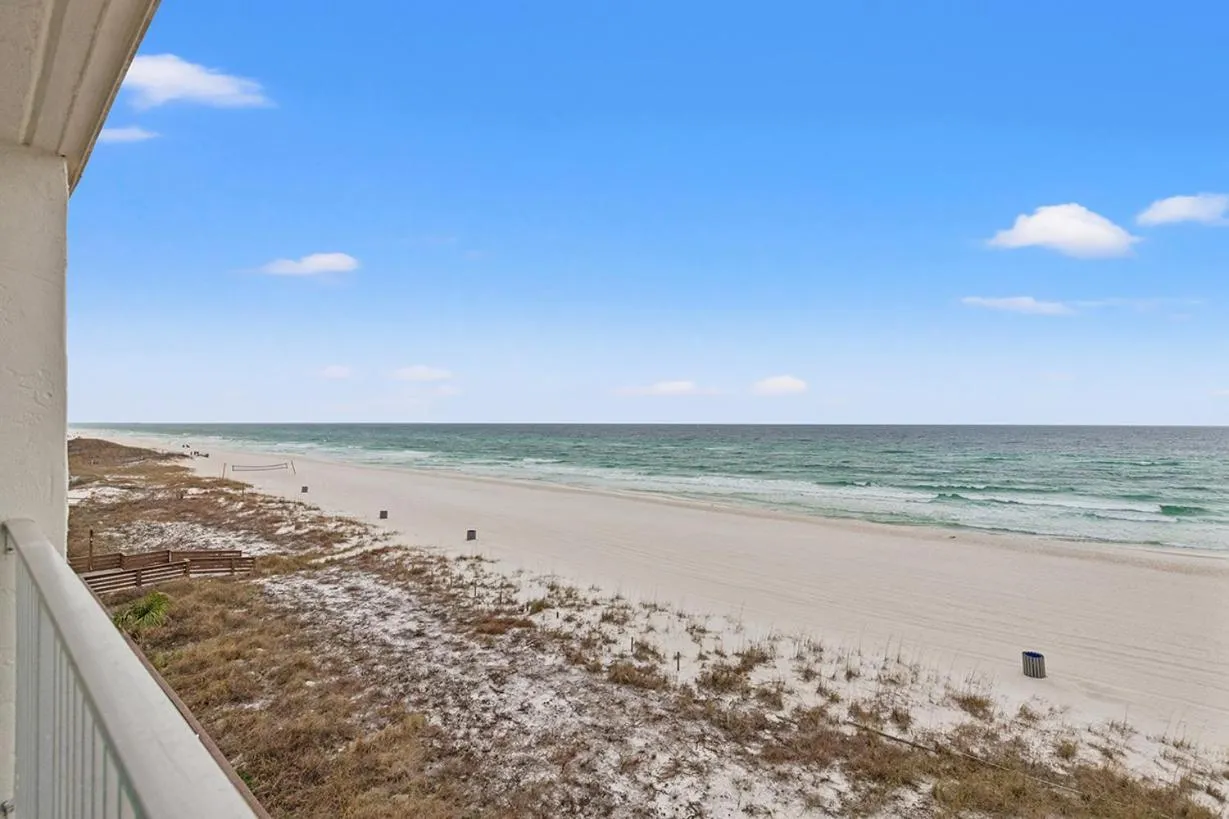 Beach in The Reef At Seahaven Beach Resorts