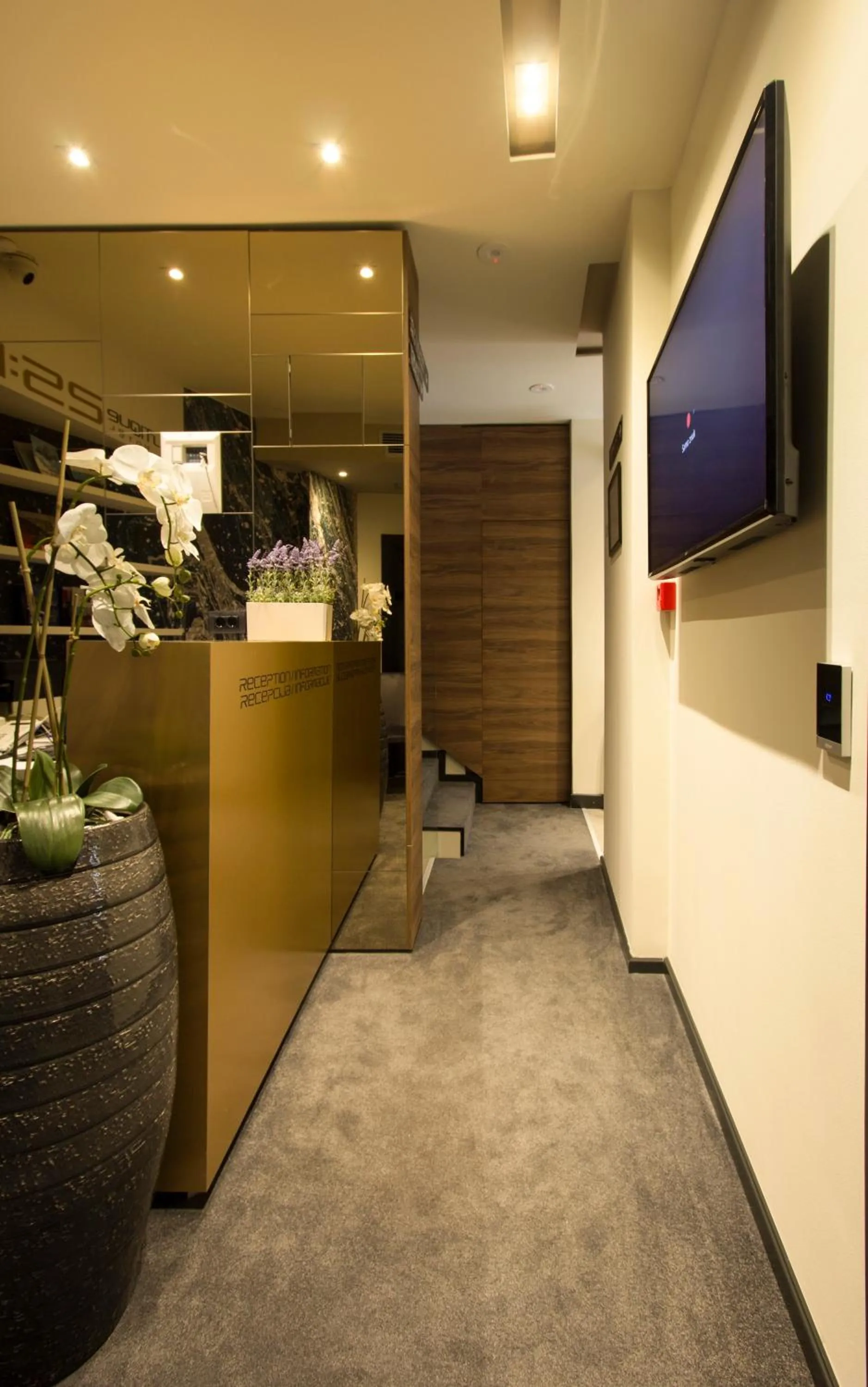 BOUTIQUE 25h by Eva stay 018