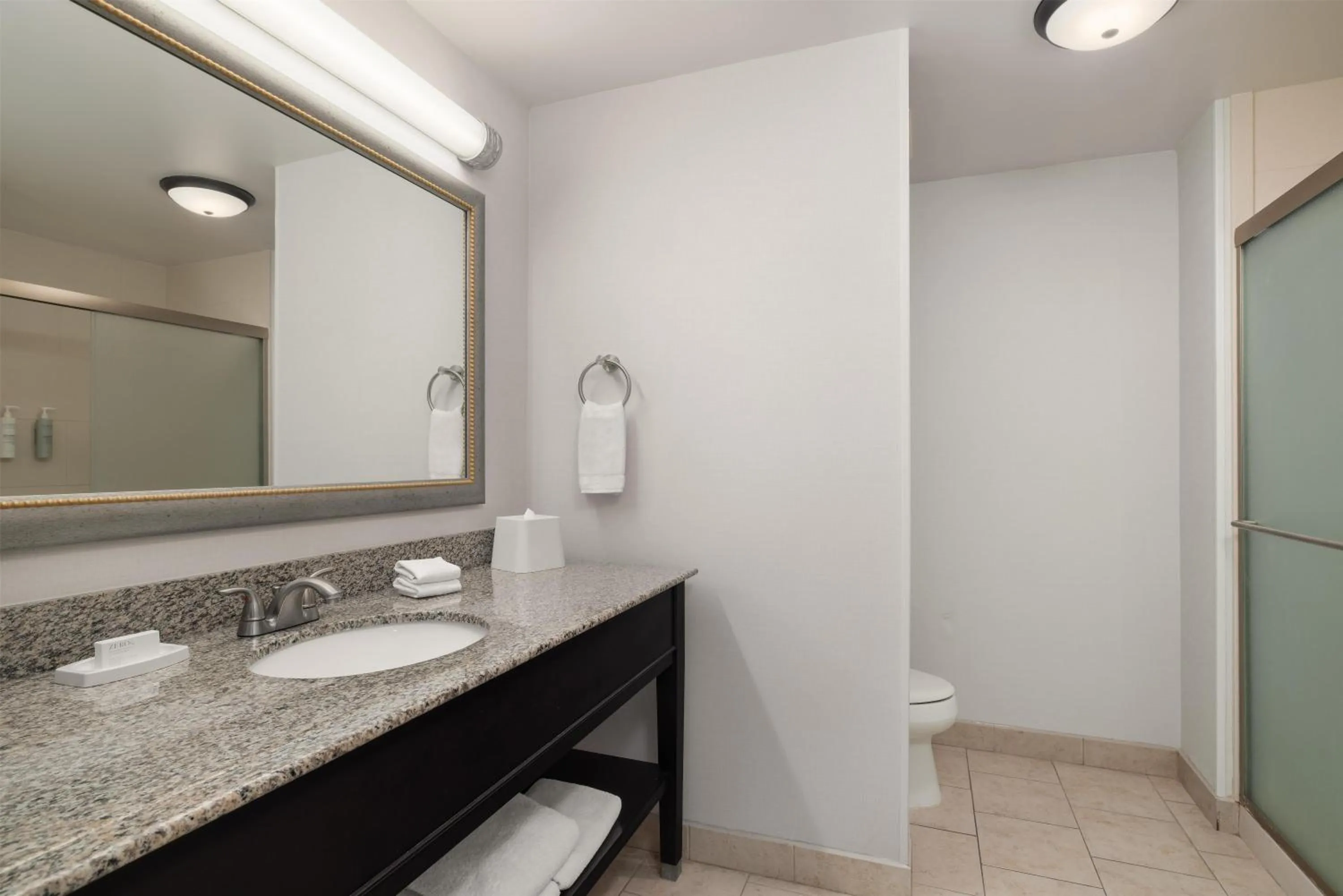 Bathroom in Hampton Inn & Suites Baton Rouge Downtown