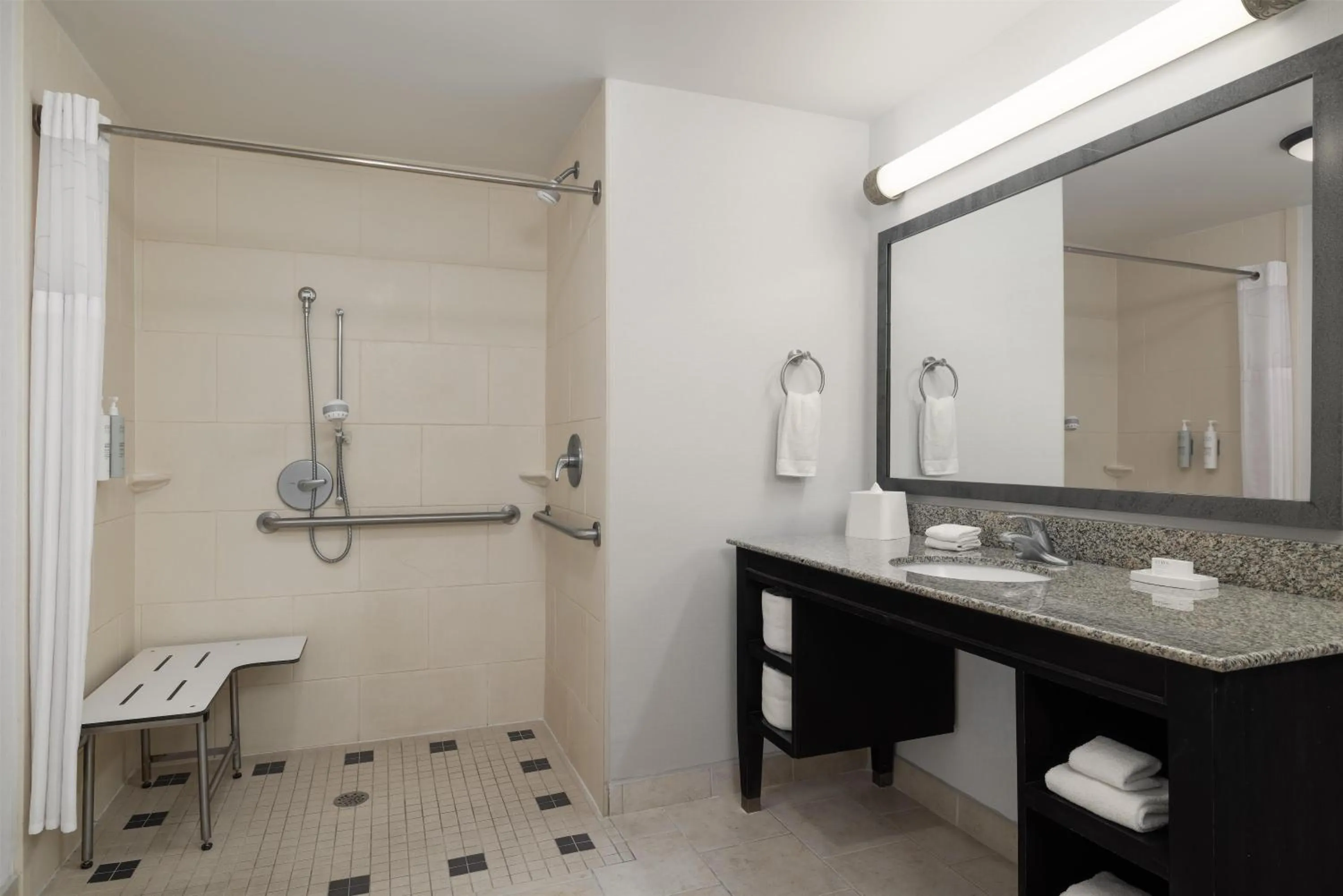 Bathroom in Hampton Inn & Suites Baton Rouge Downtown