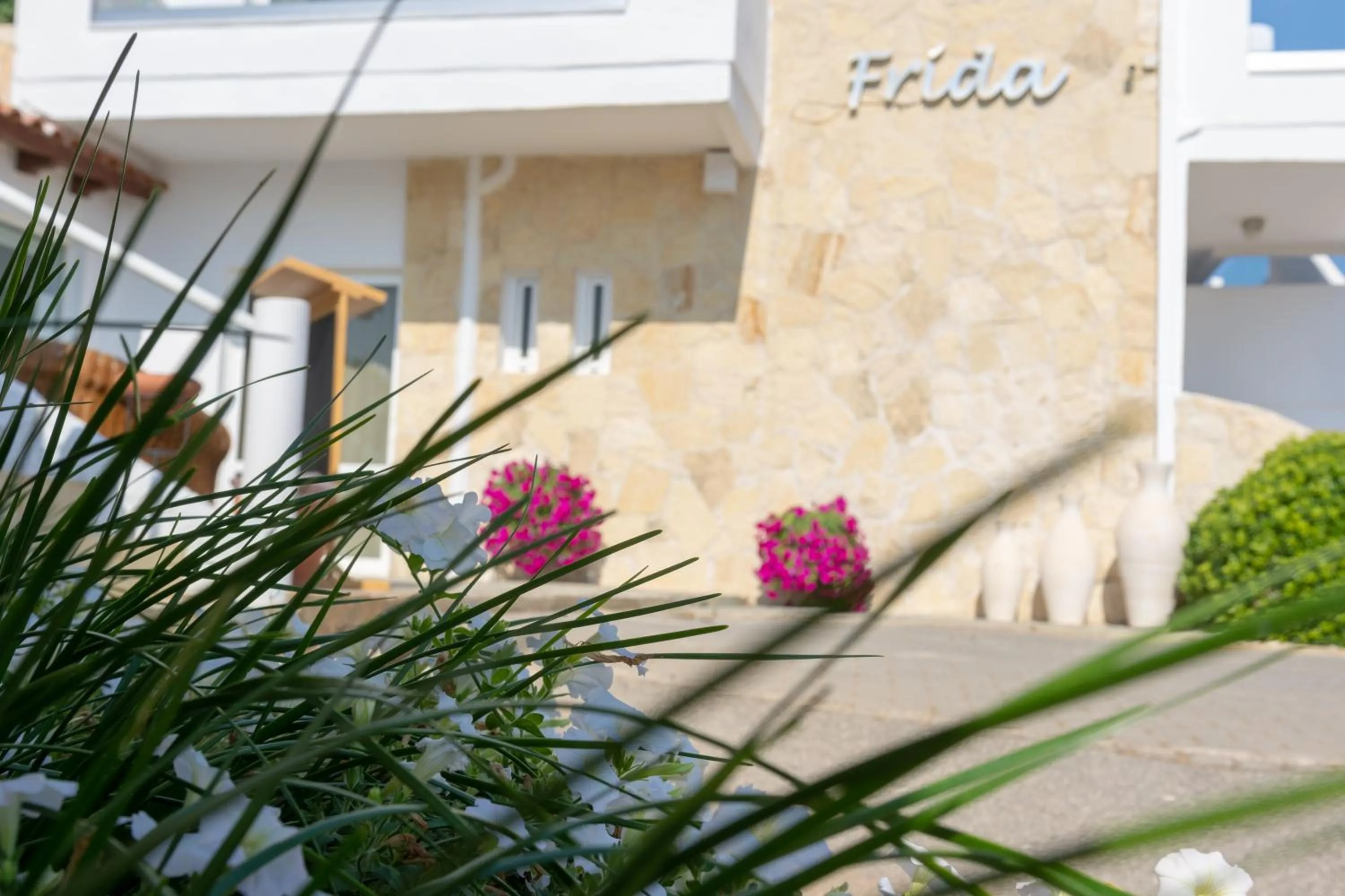 Property building in Frida Apartments