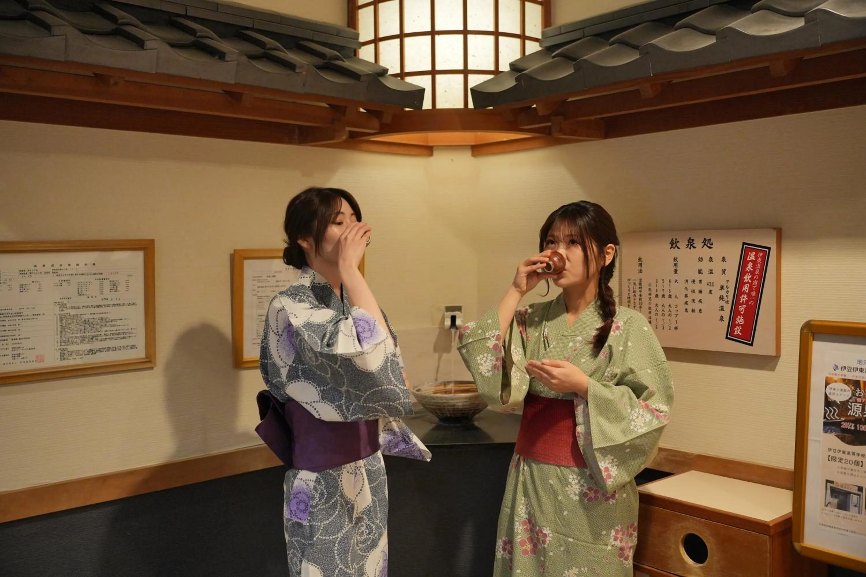 Hot Spring Bath in Ito Kowakien