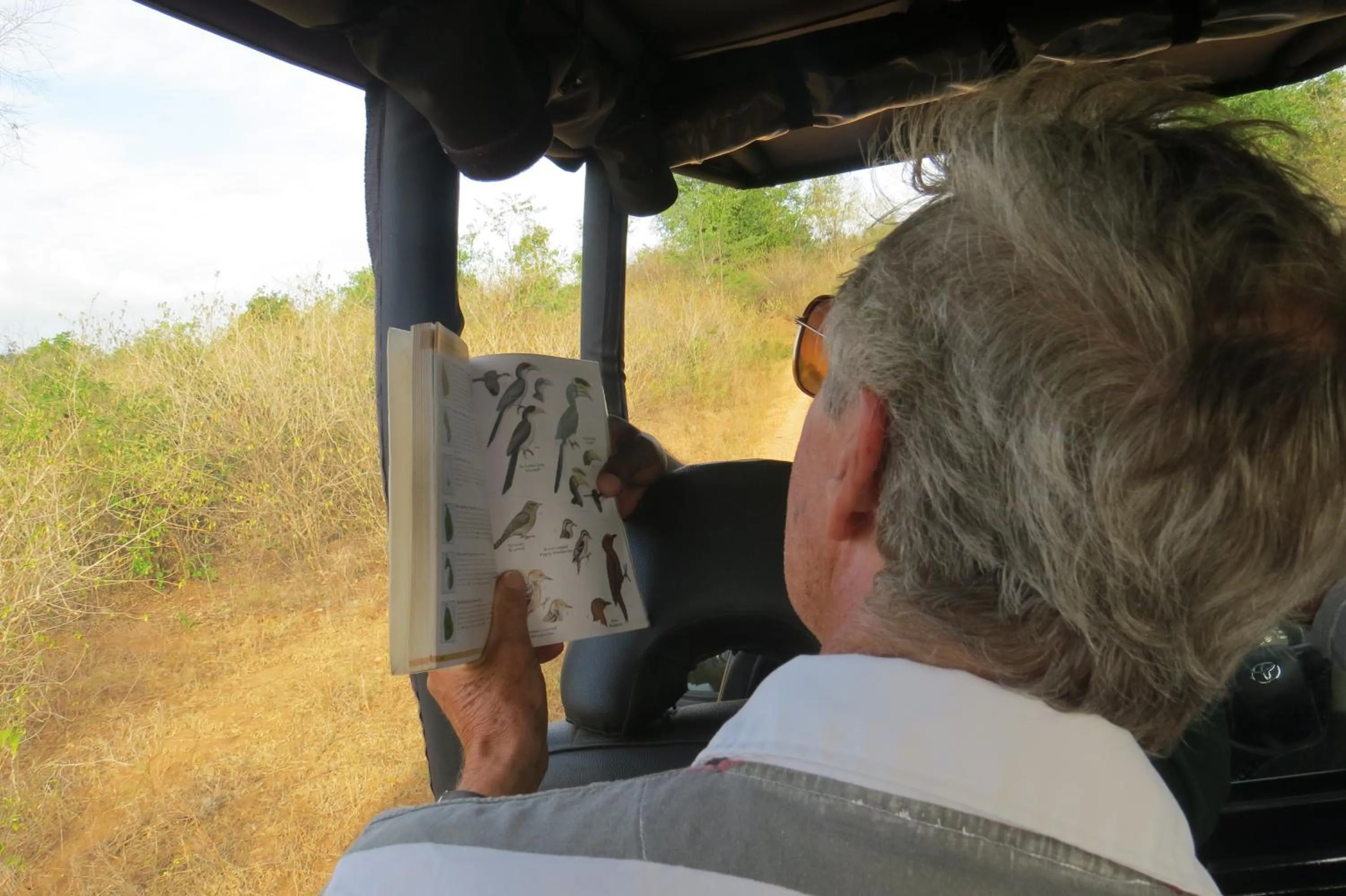 Natural landscape in Big Game Yala - by Eco Team