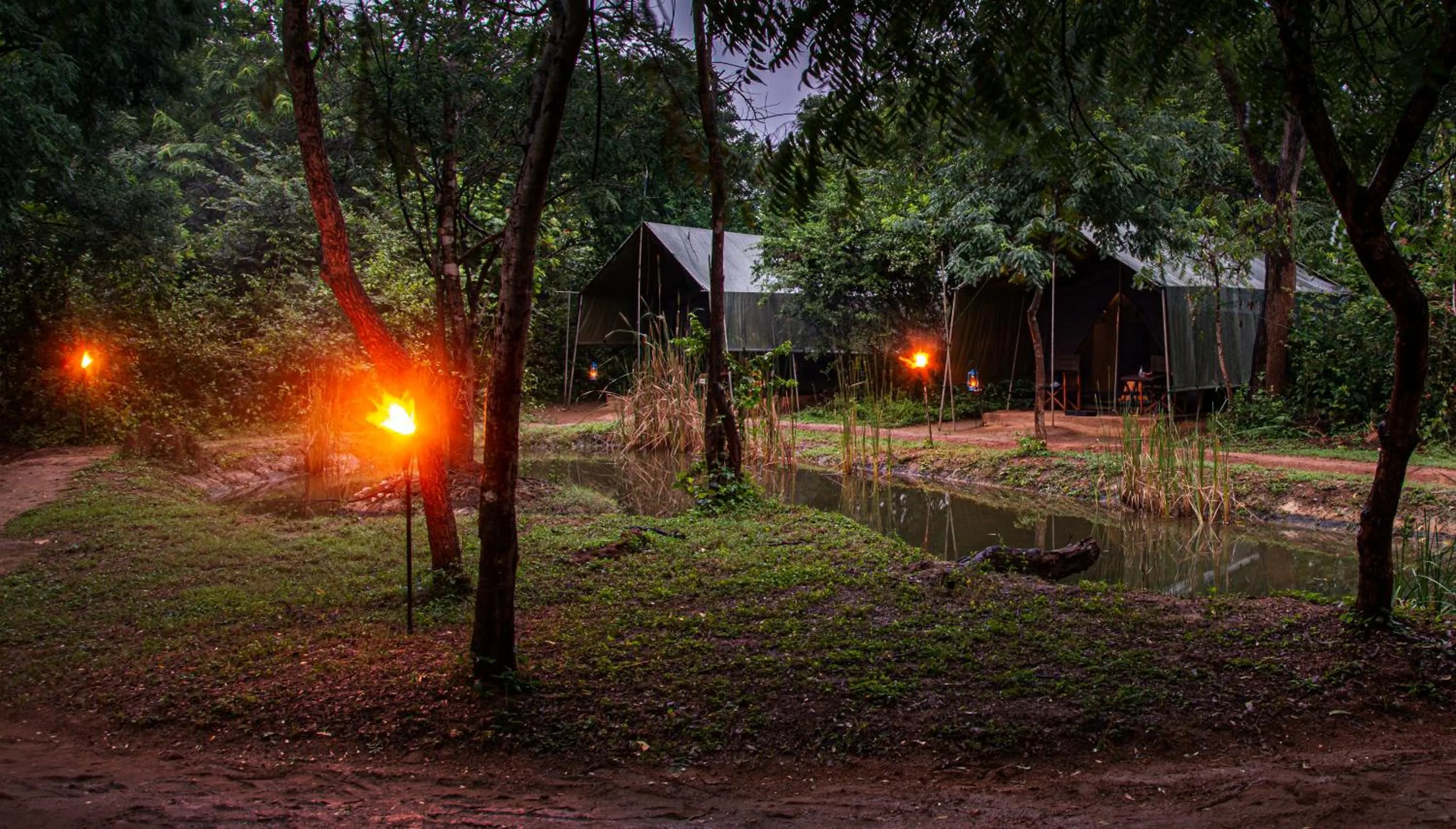 Garden in Big Game Yala - by Eco Team