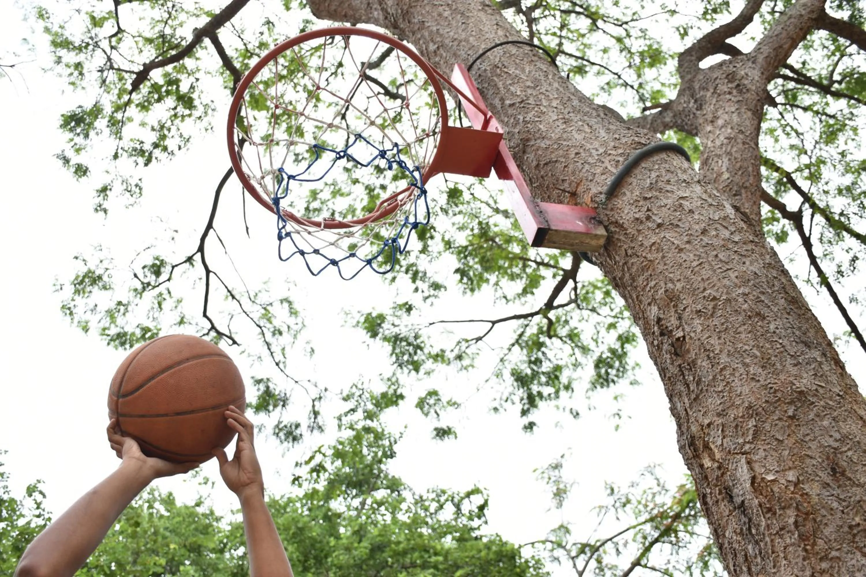 Game Room in Big Game Yala - by Eco Team