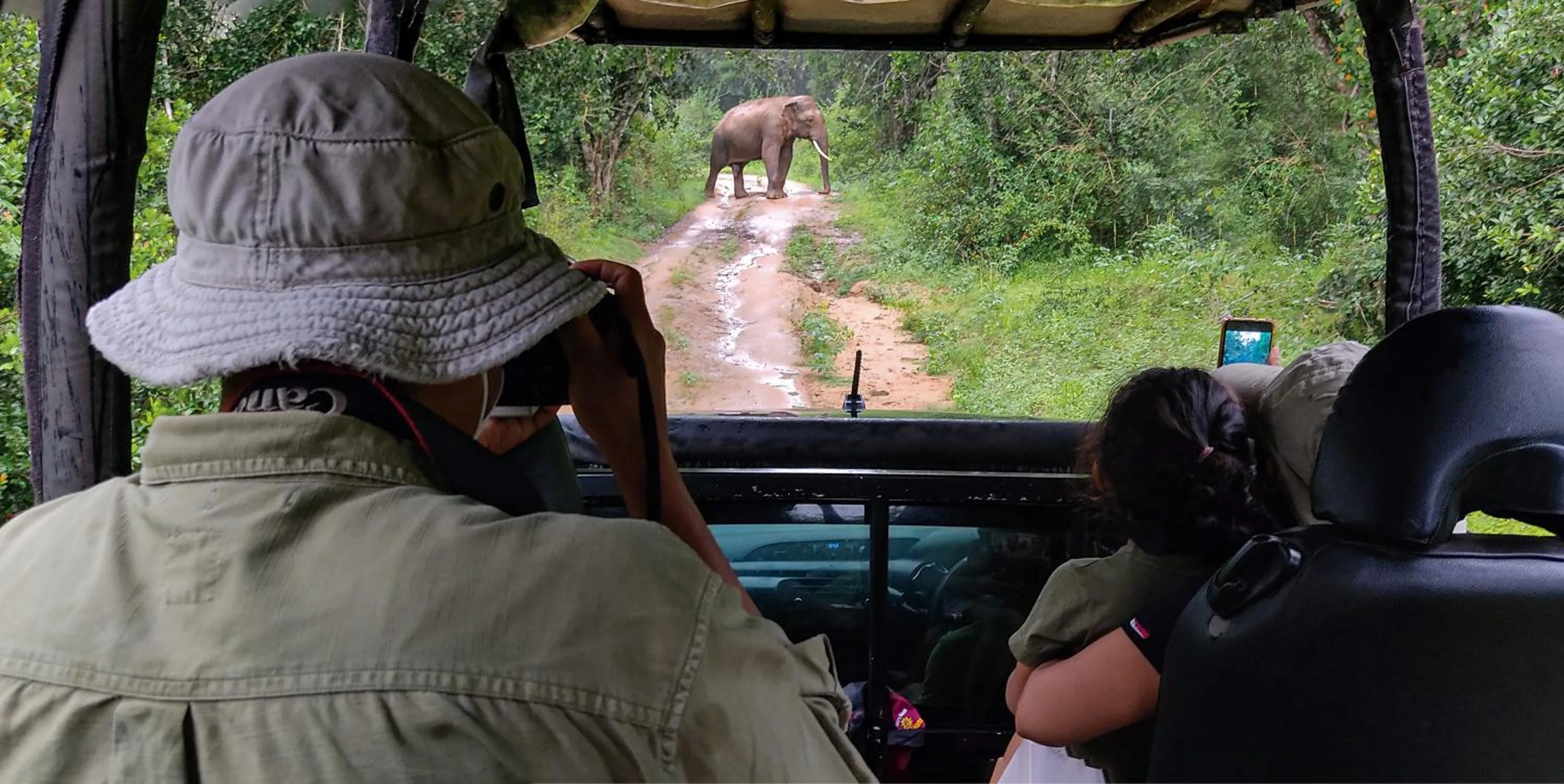 Animals in Big Game Yala - by Eco Team