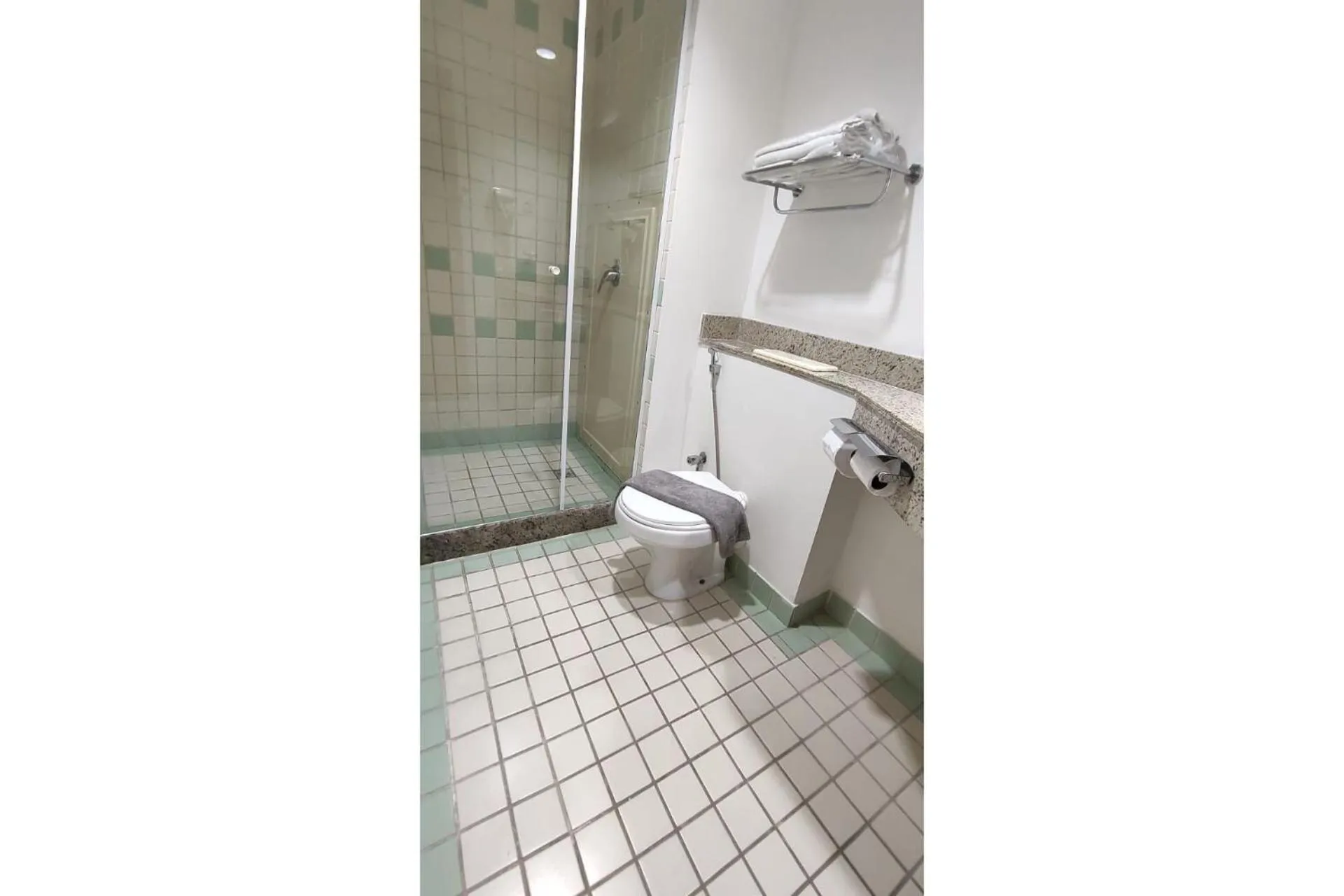 Toilet in Flat Borges Lagoa Ibirapuera c/ garagem UH407