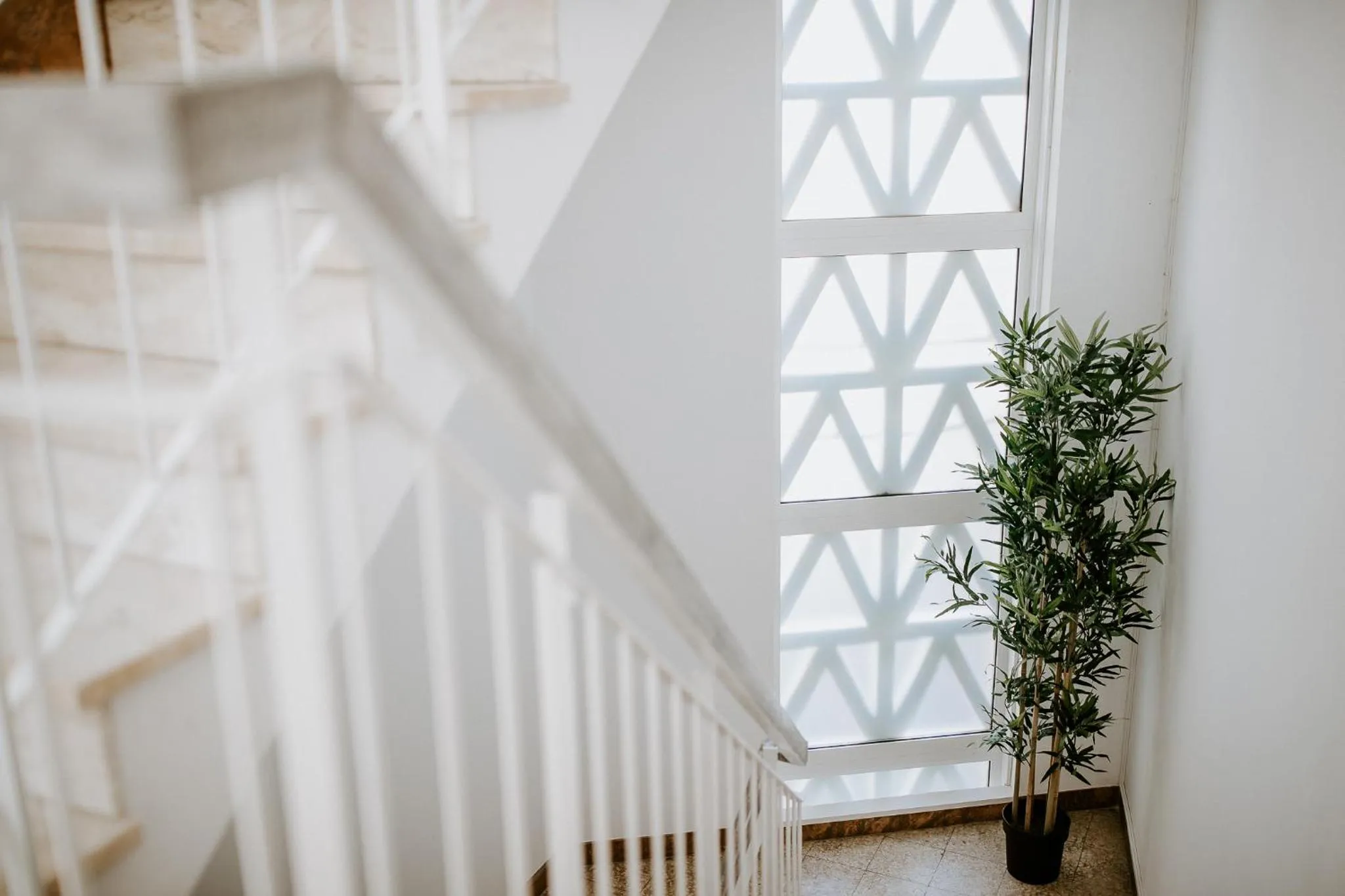 Floor plan in DREAMS HOUSE