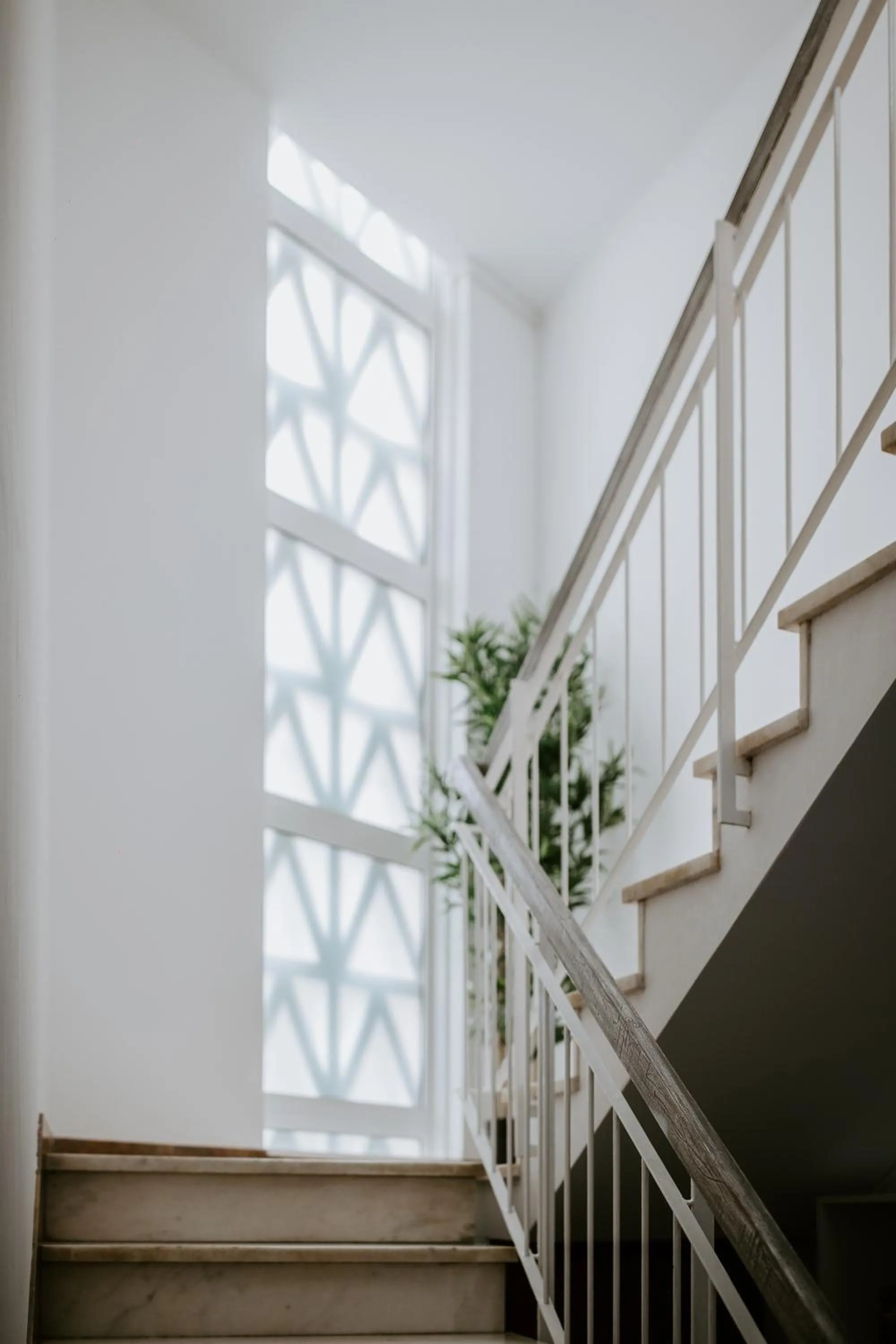 Lobby or reception in DREAMS HOUSE