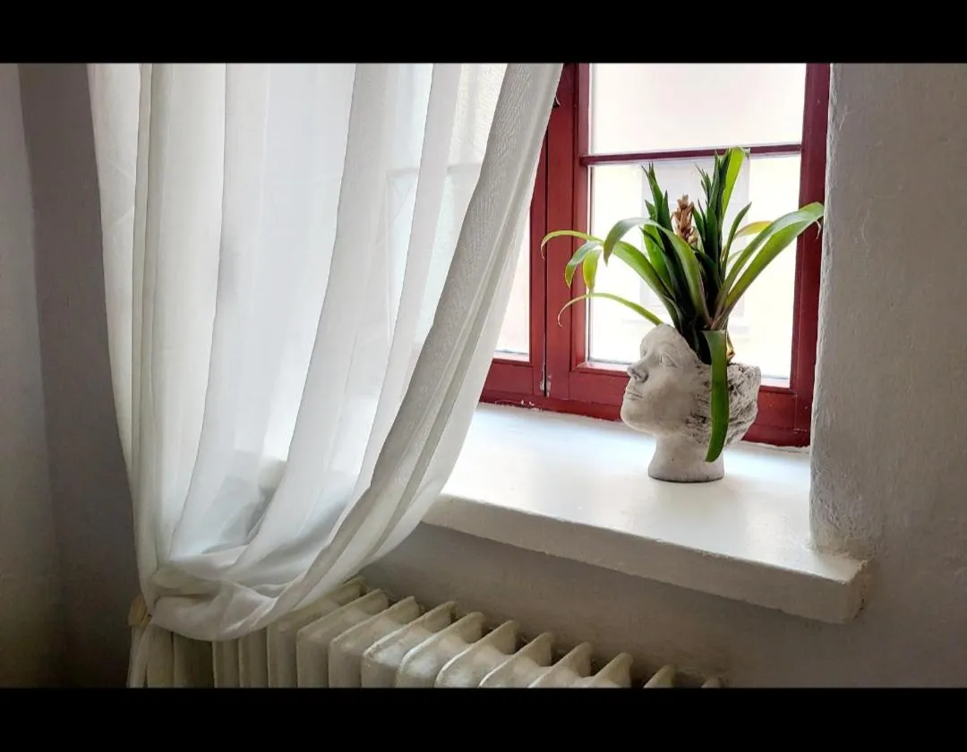 Sztukmistrz Magician Art Rooms