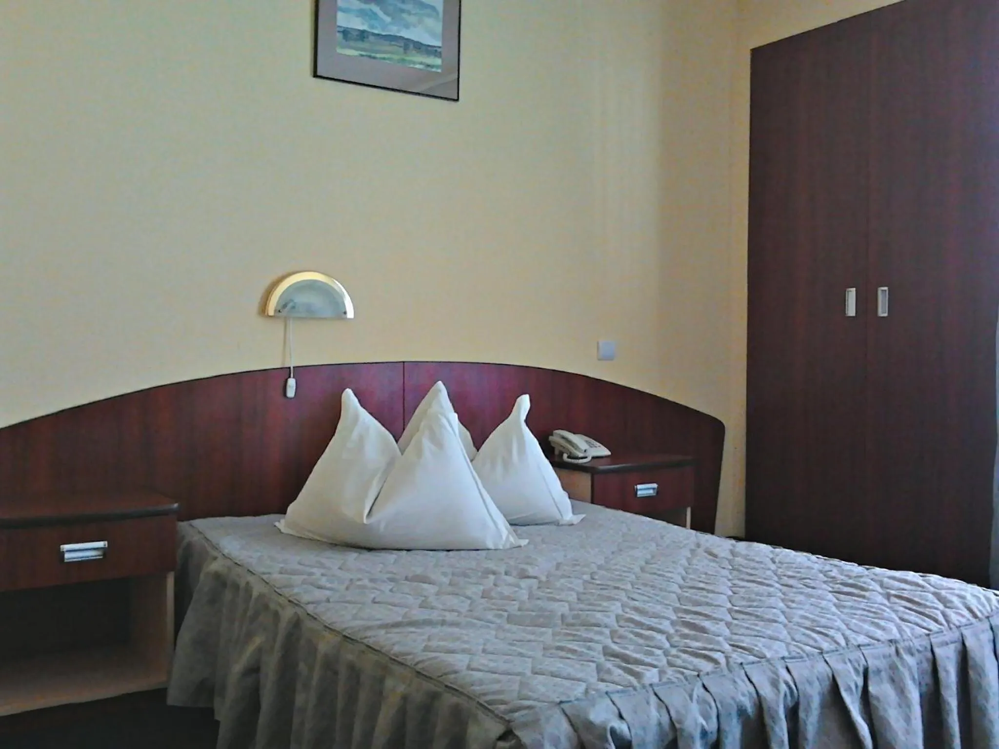 Bed in Hotel Silva Busteni