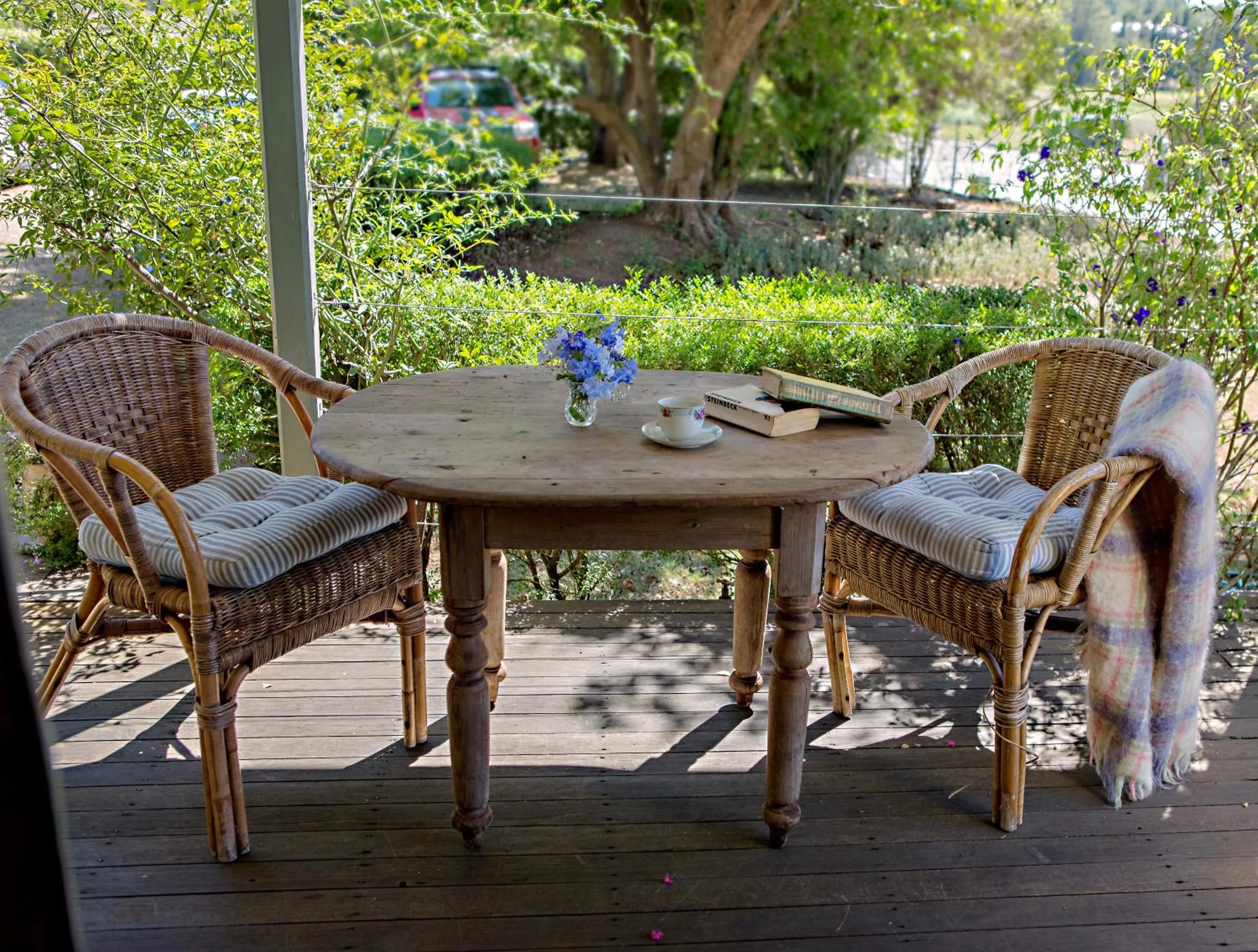 Garden view in Maddies of Bolwarra