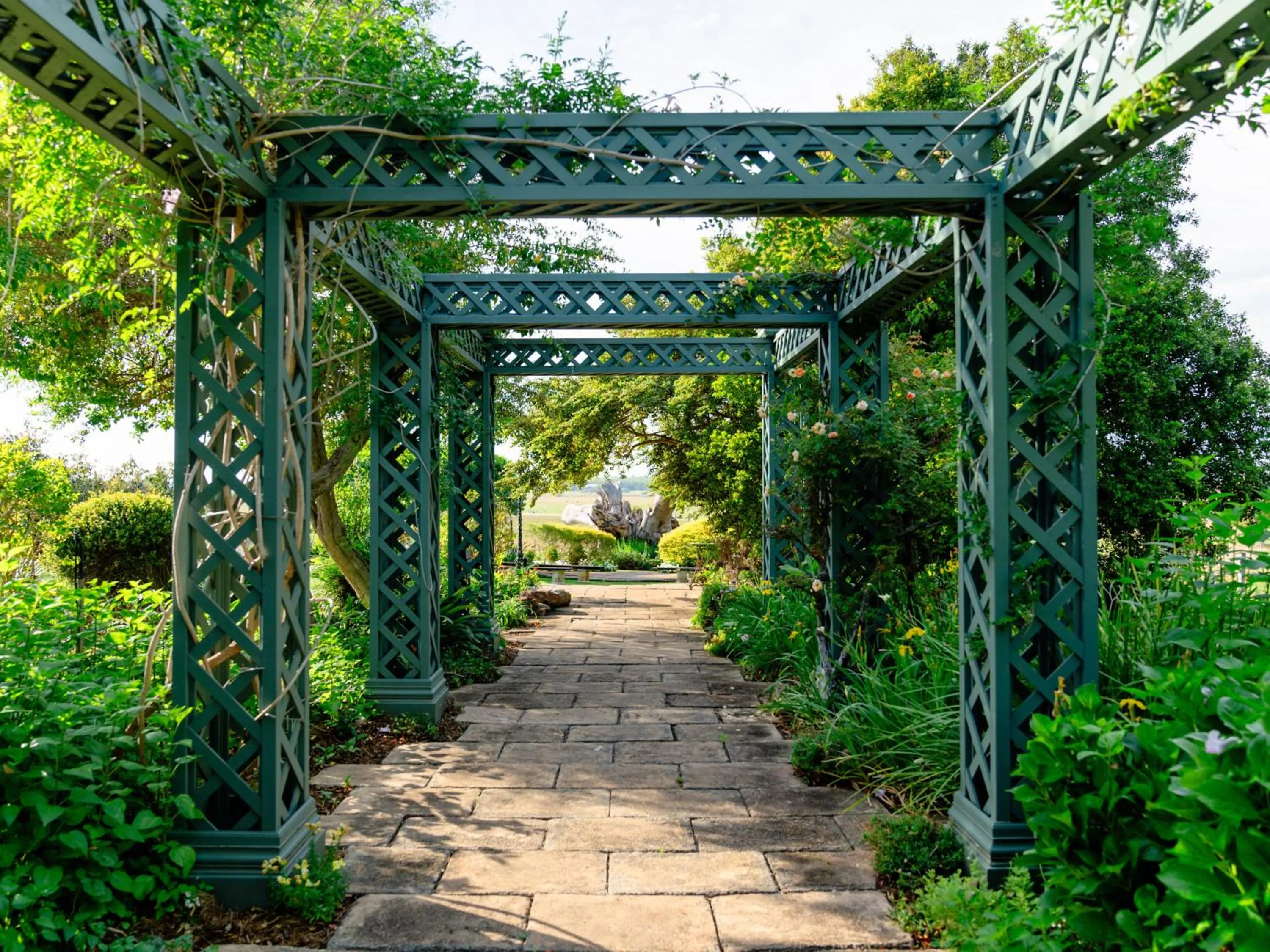 Garden in Maddies of Bolwarra