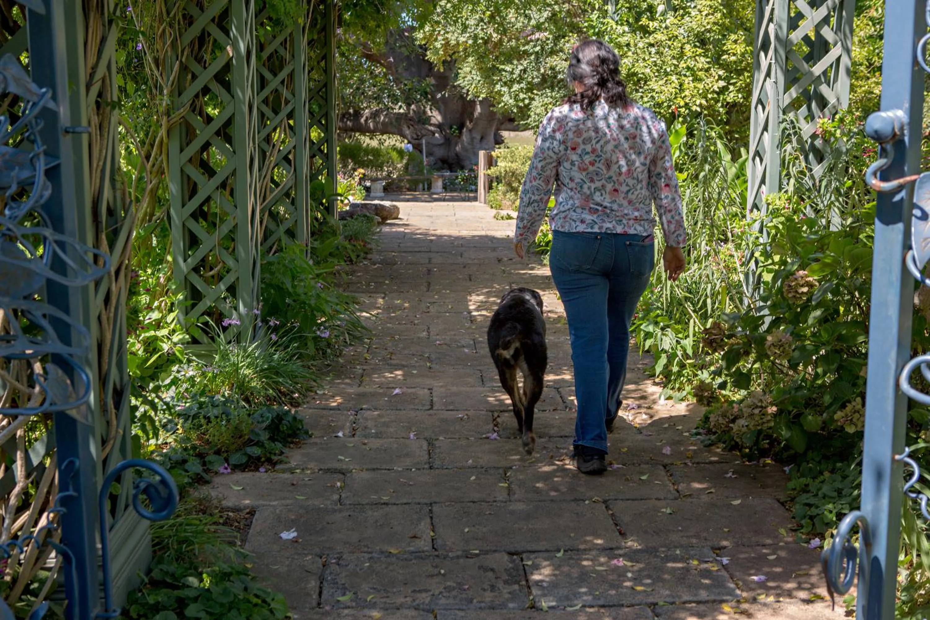 Garden in Maddies of Bolwarra