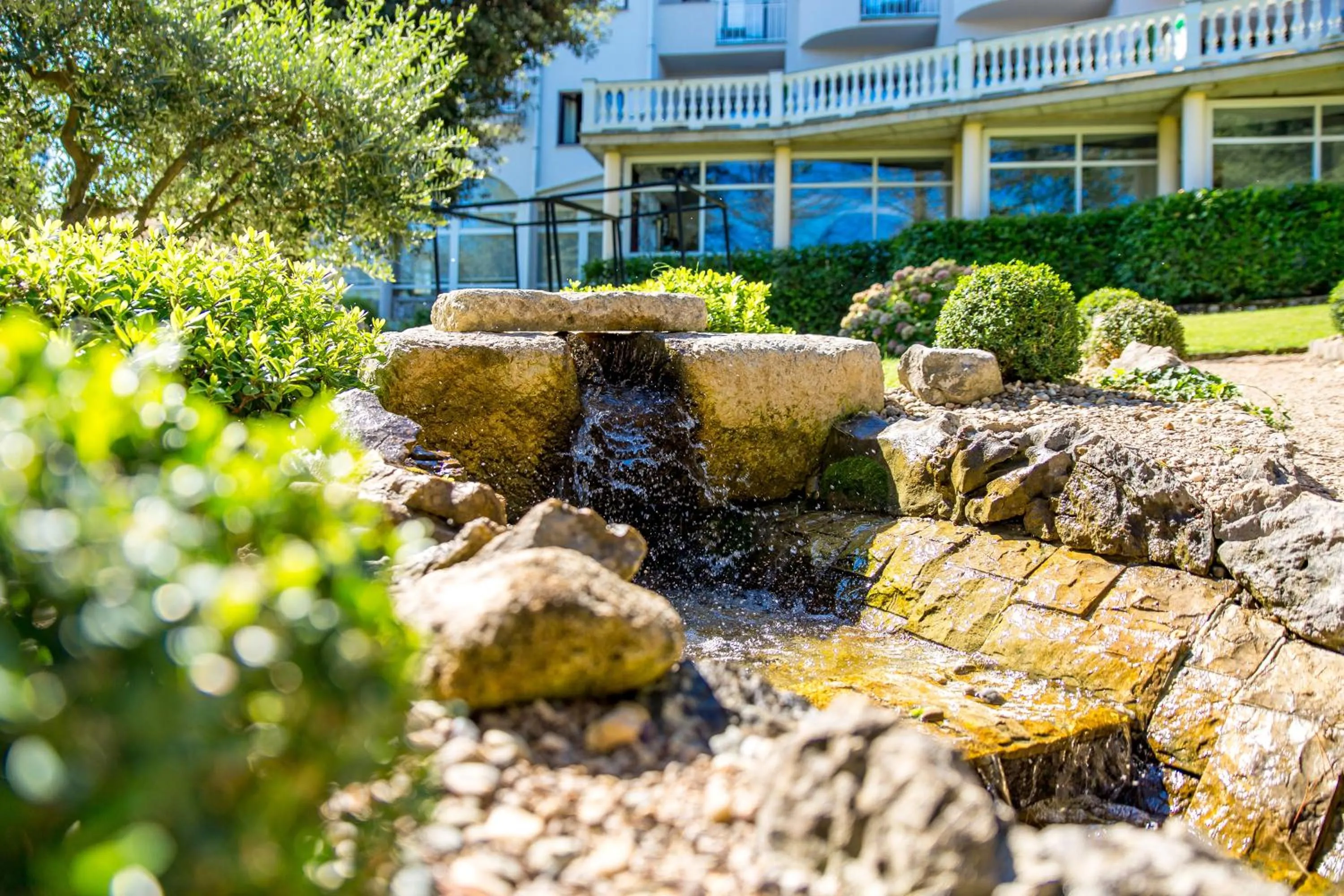 Garden in Hotel Malin