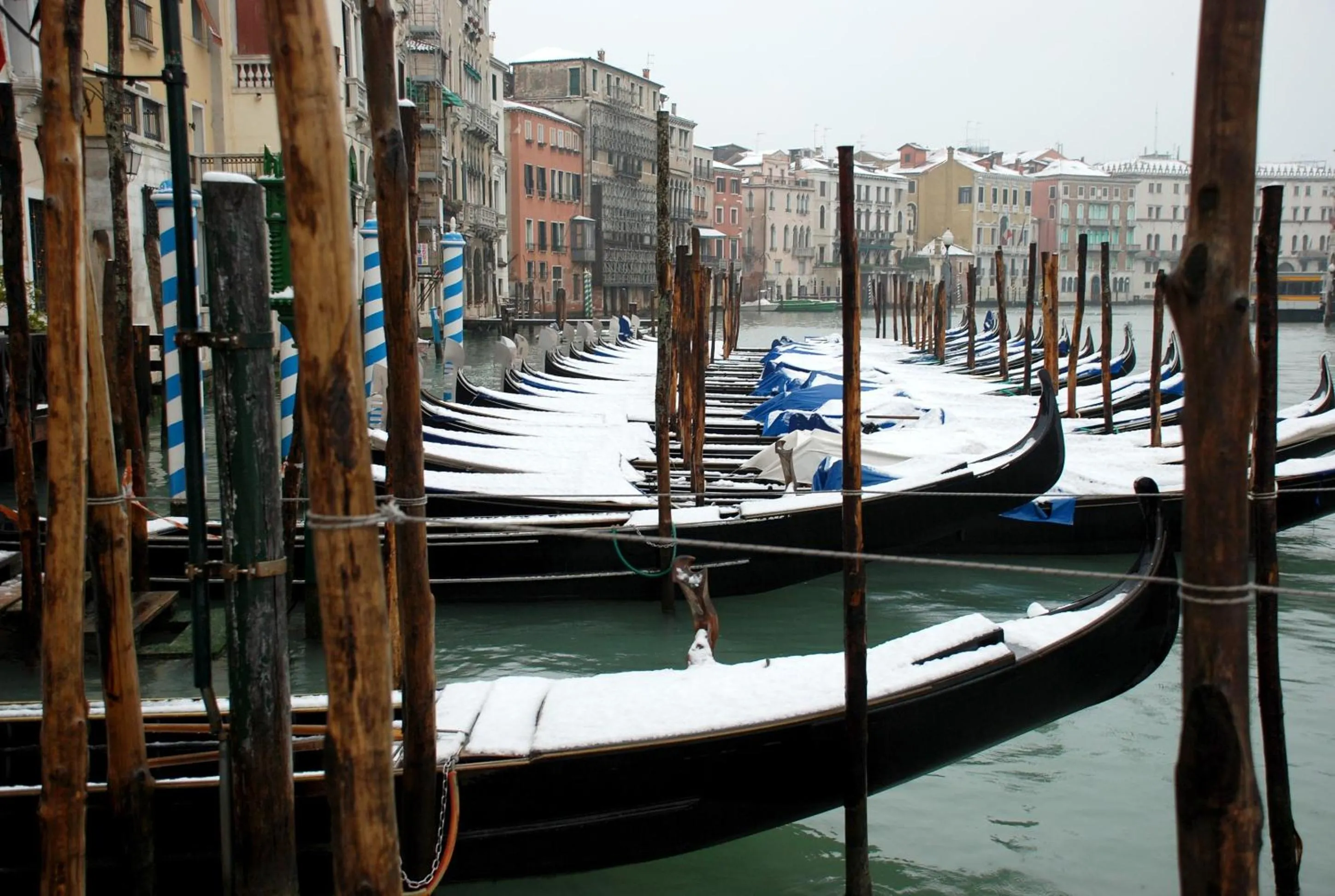 Area and facilities in Hotel At Leonard