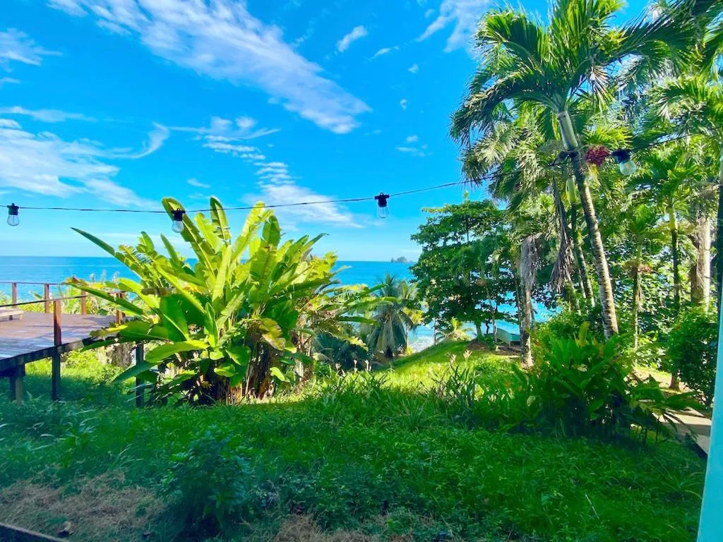 Garden in Bird Island Bungalows