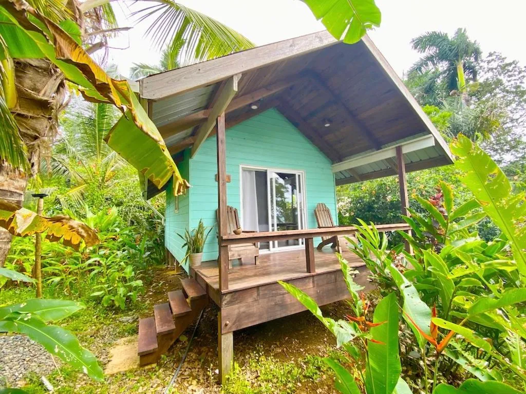 Natural landscape in Bird Island Bungalows