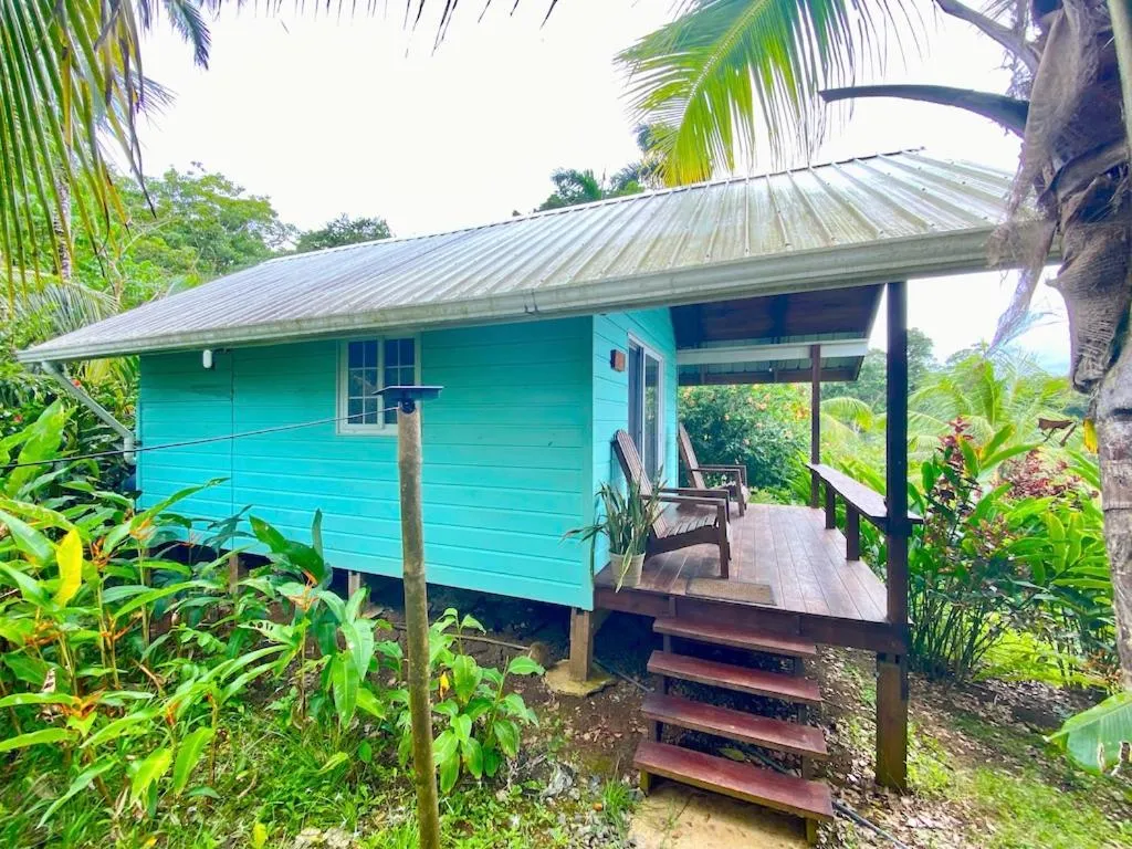 View (from property/room) in Bird Island Bungalows
