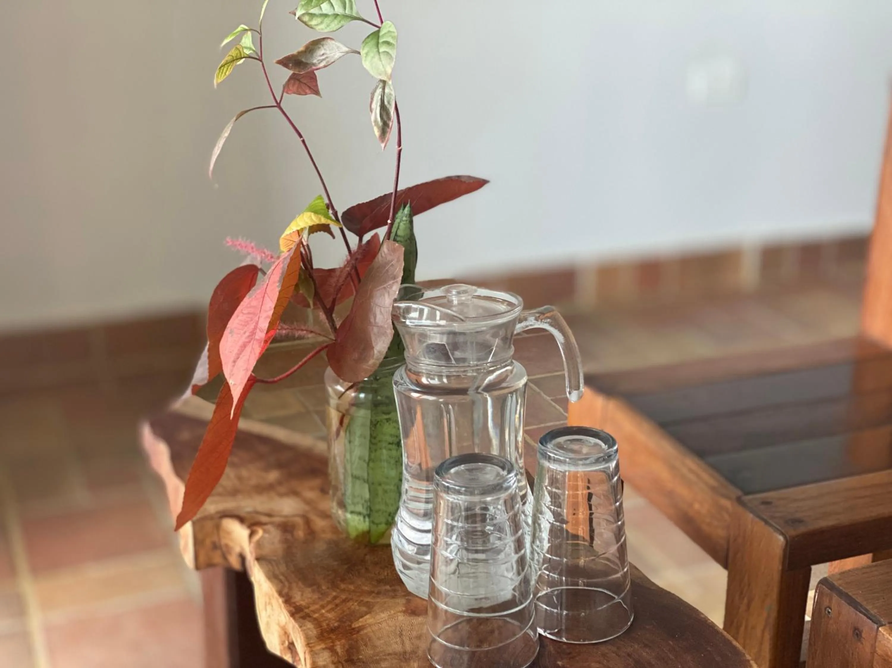 Food and drinks in Bird Island Bungalows