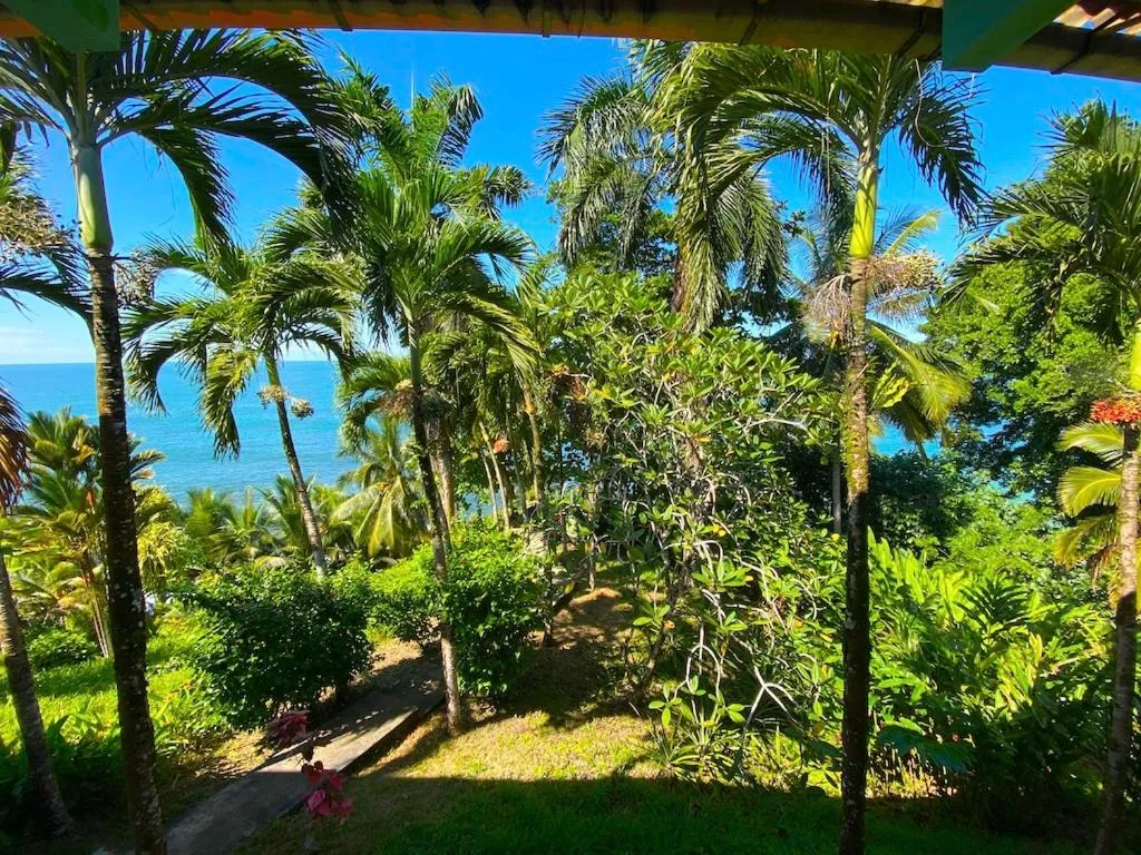 Natural landscape in Bird Island Bungalows