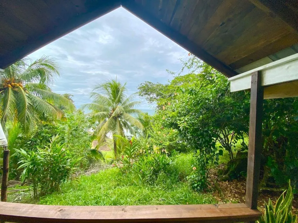 Natural landscape in Bird Island Bungalows