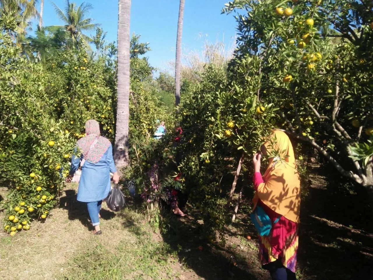 View (from property/room) in Buana Ecofarm Ecolodge