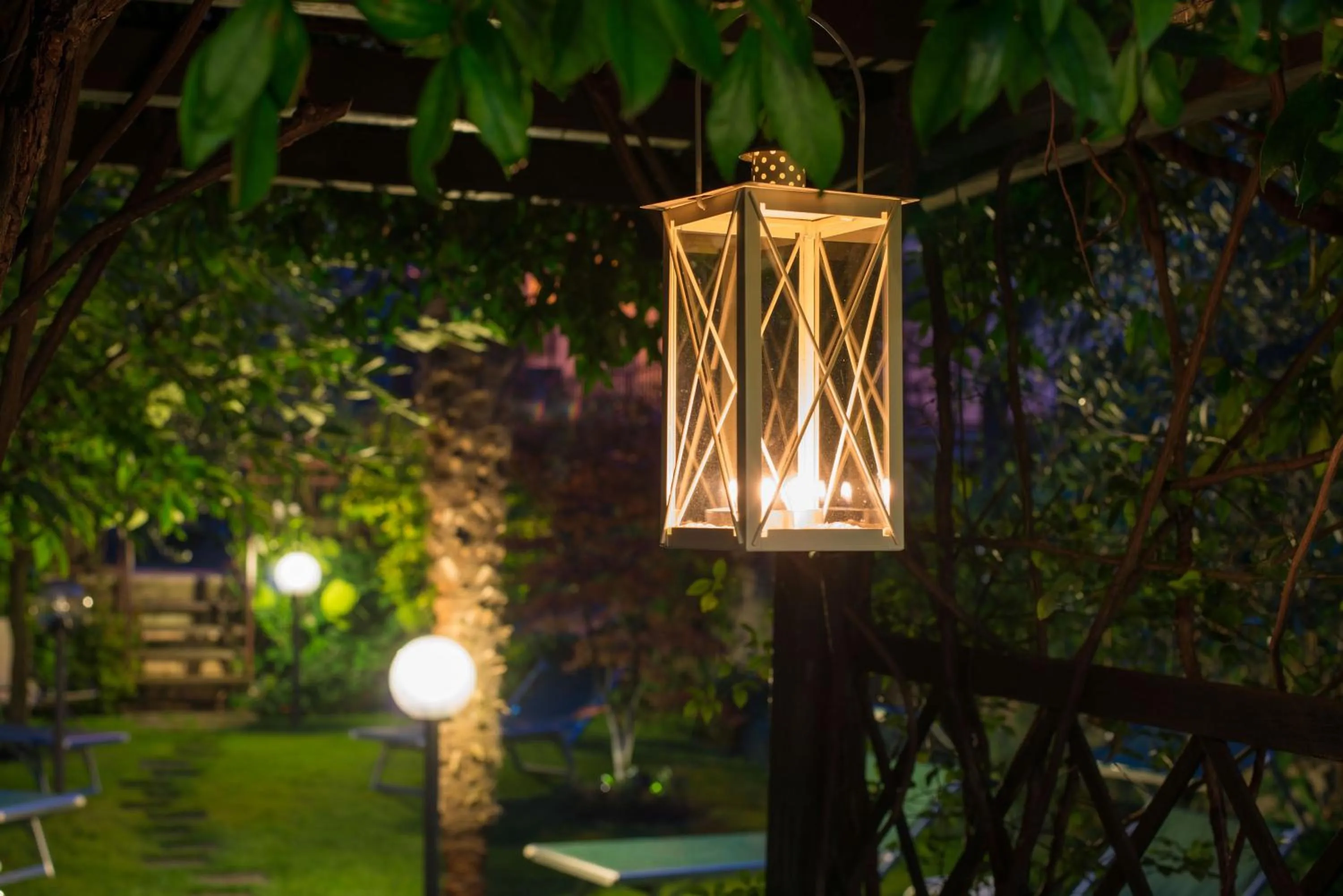 Garden in Hotel Erika