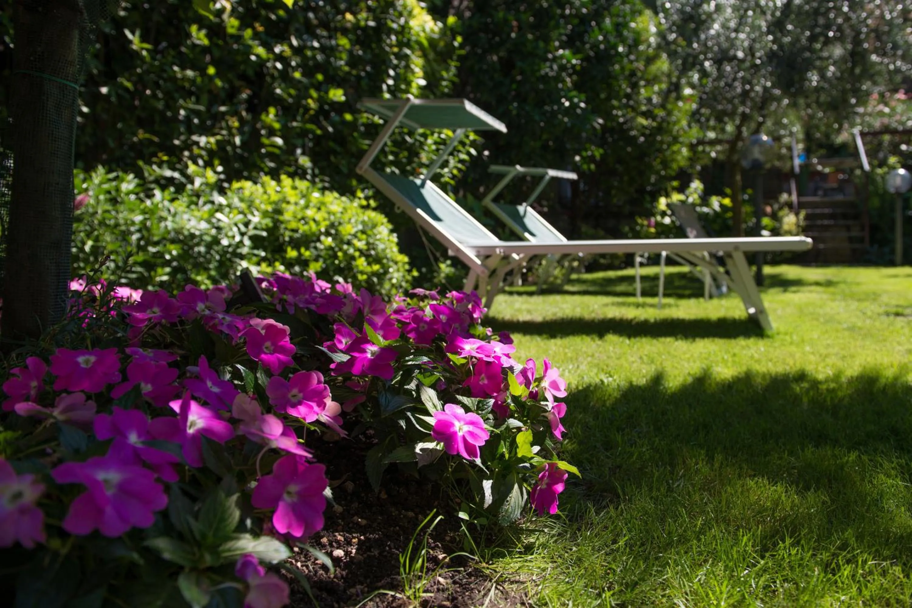 Garden in Hotel Erika