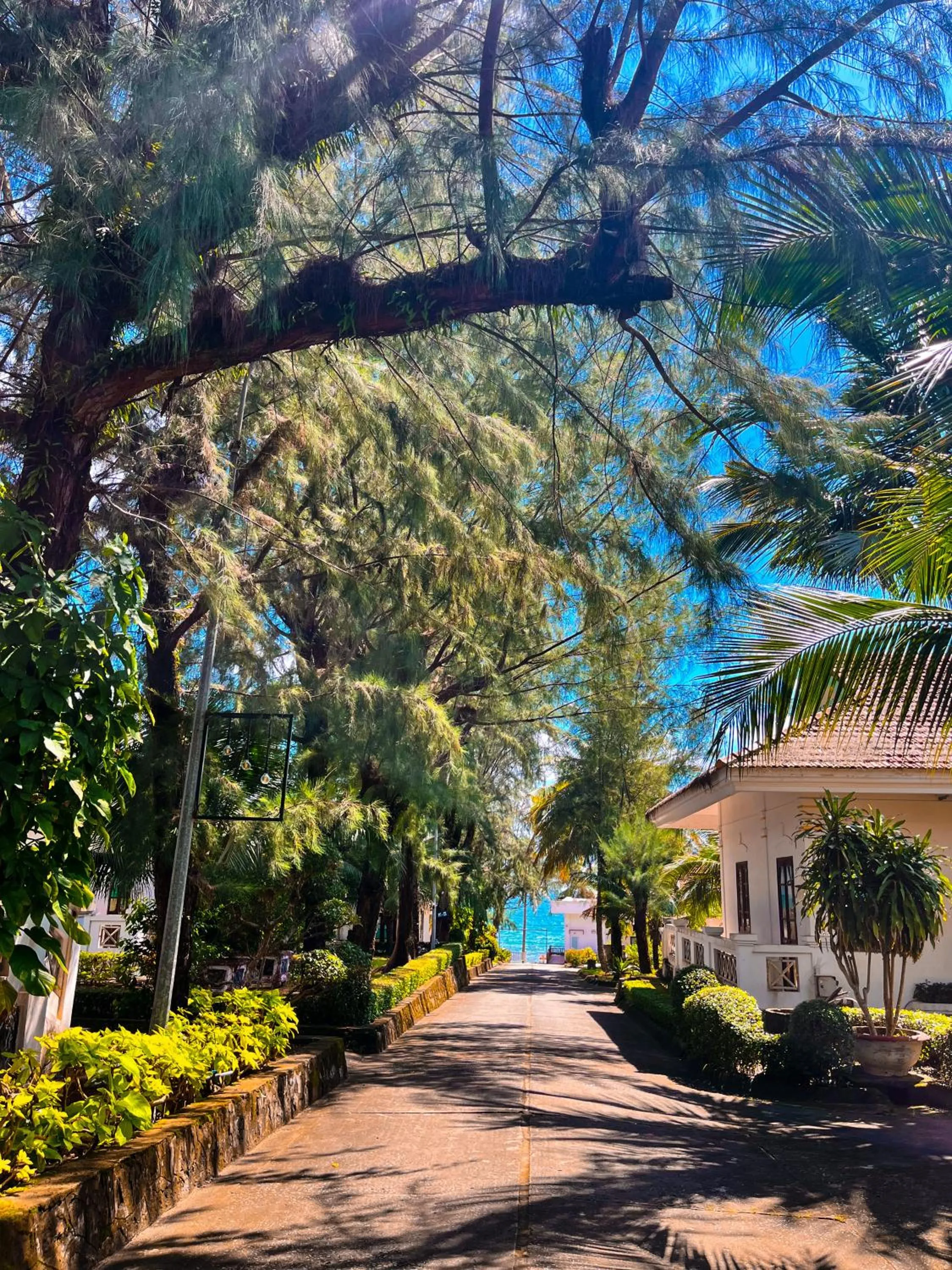 Garden in Hawaii Resort Phu Quoc