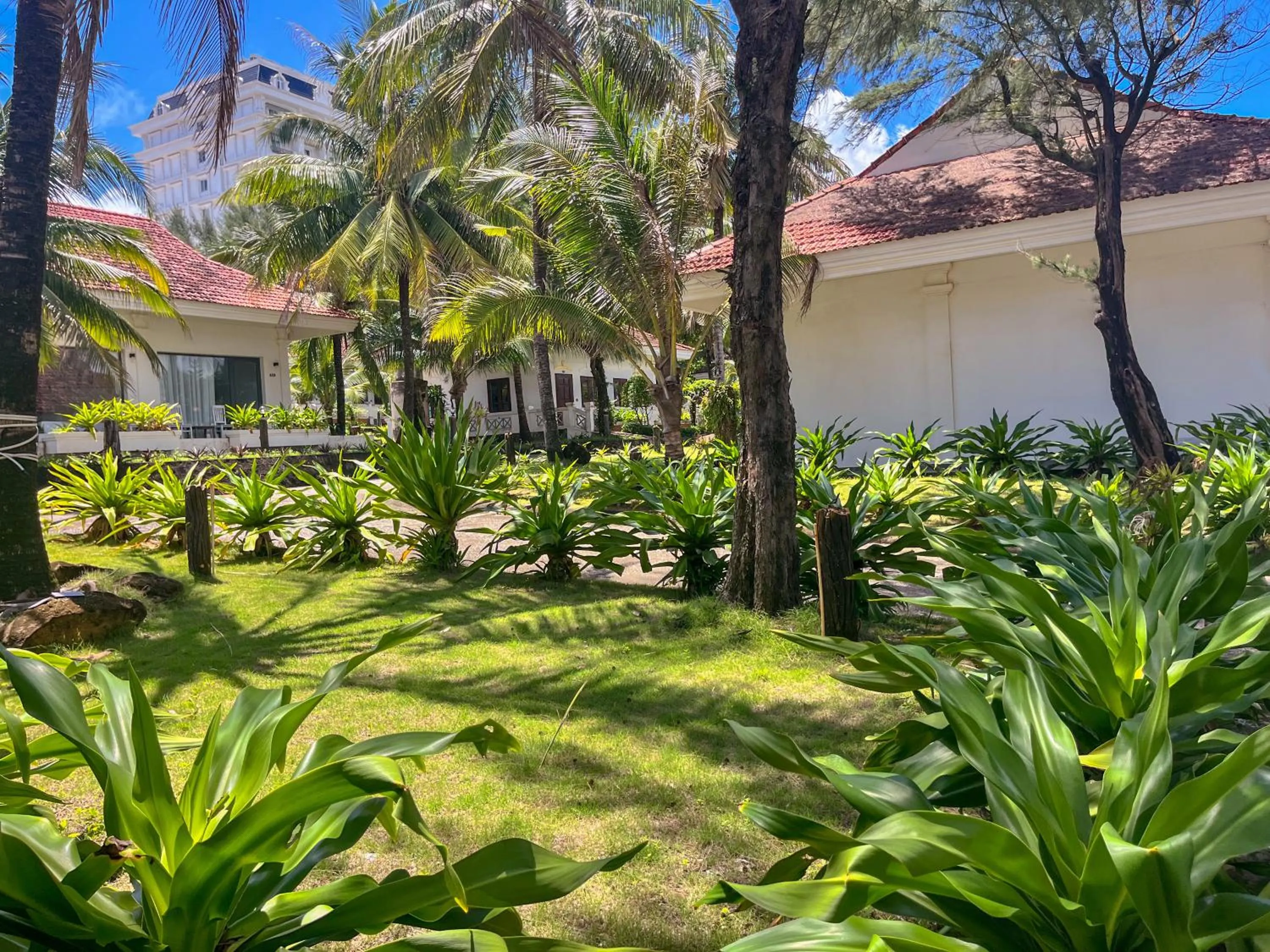 Natural landscape in Hawaii Resort Phu Quoc