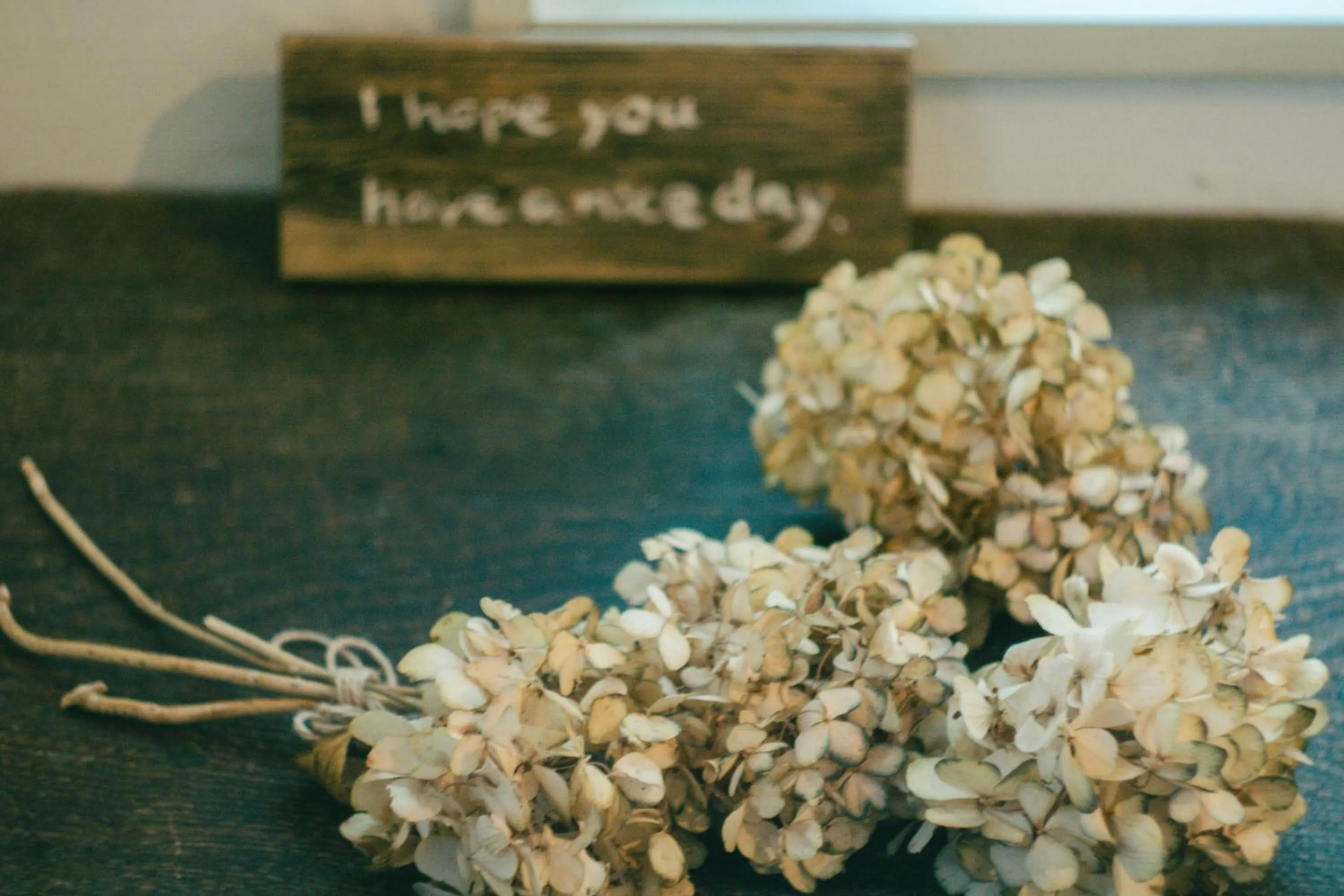 café&GuestHouse kaziya