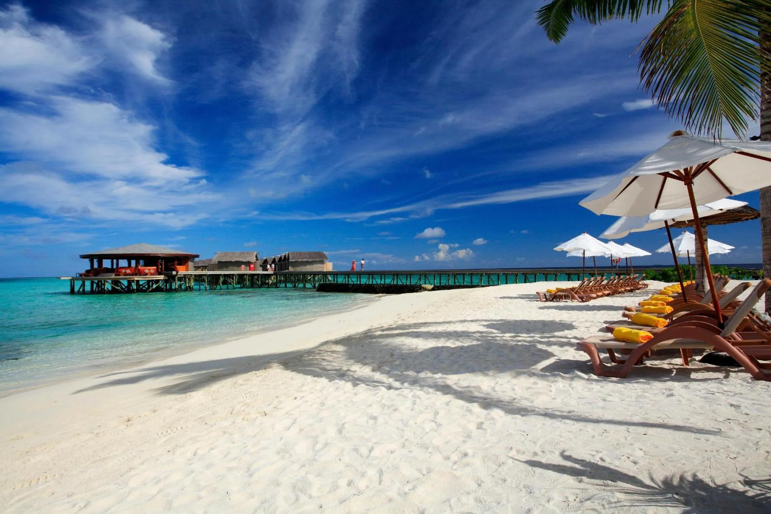 Beach in Centara Ras Fushi Resort & Spa Maldives - Stay 4 nights or more and enjoy 50 percent off Speedboat transfers, valid for stays from 10 Apr to 30 Sep 2026