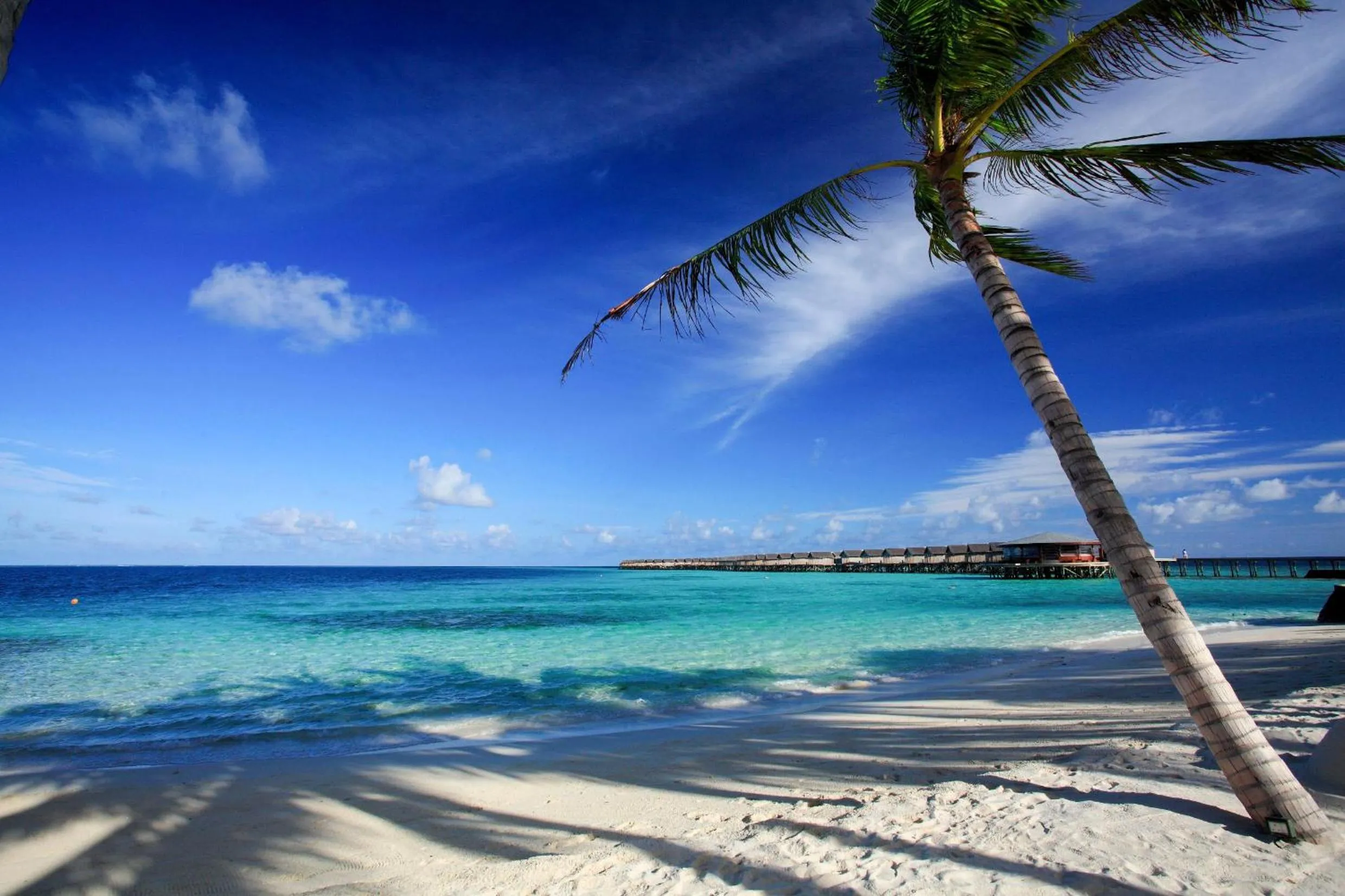 Photo of the whole room in Centara Ras Fushi Resort & Spa Maldives - Stay 4 nights or more and enjoy 50 percent off Speedboat transfers, valid for stays from 10 Apr to 30 Sep 2026