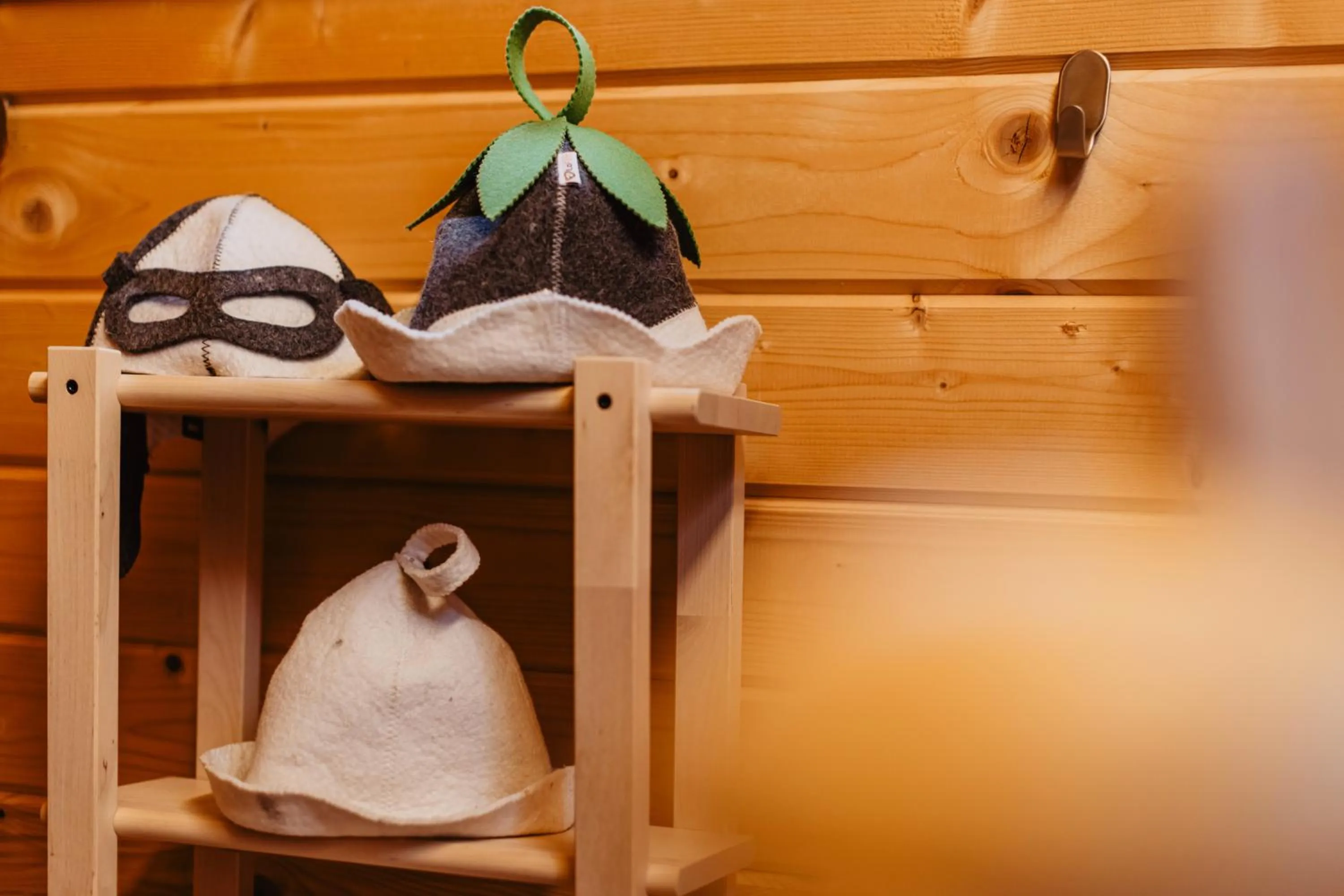 Sauna in Walhalla Hotel Regensburg Hoeferer 4 Sterne Superior