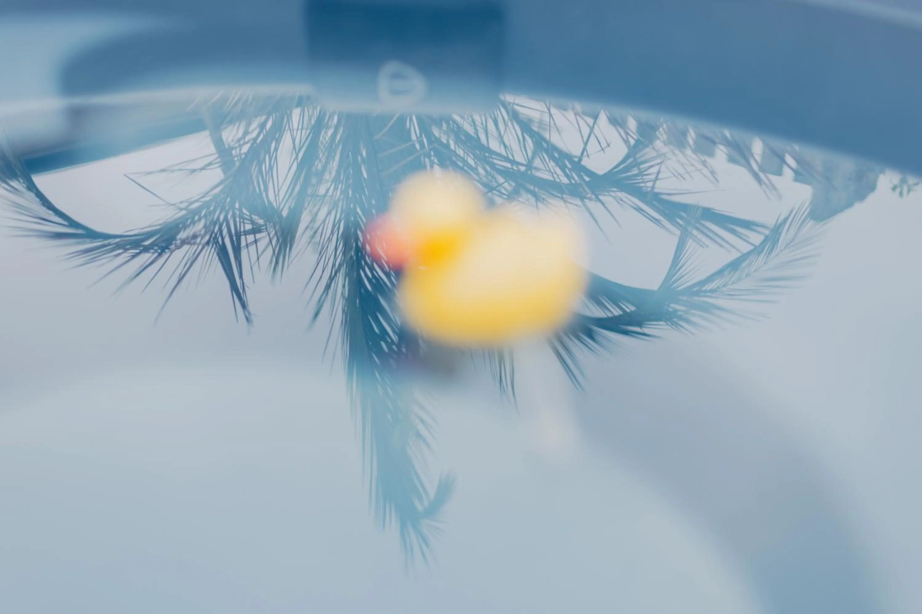 Hot Tub in Walhalla Hotel Regensburg Hoeferer 4 Sterne Superior