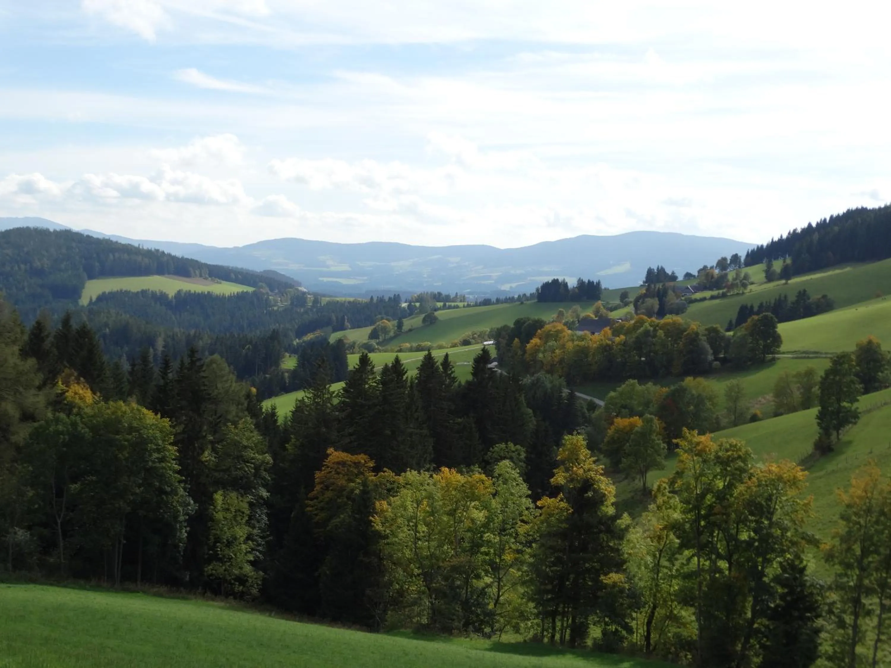 View (from property/room) in Roseggerhof