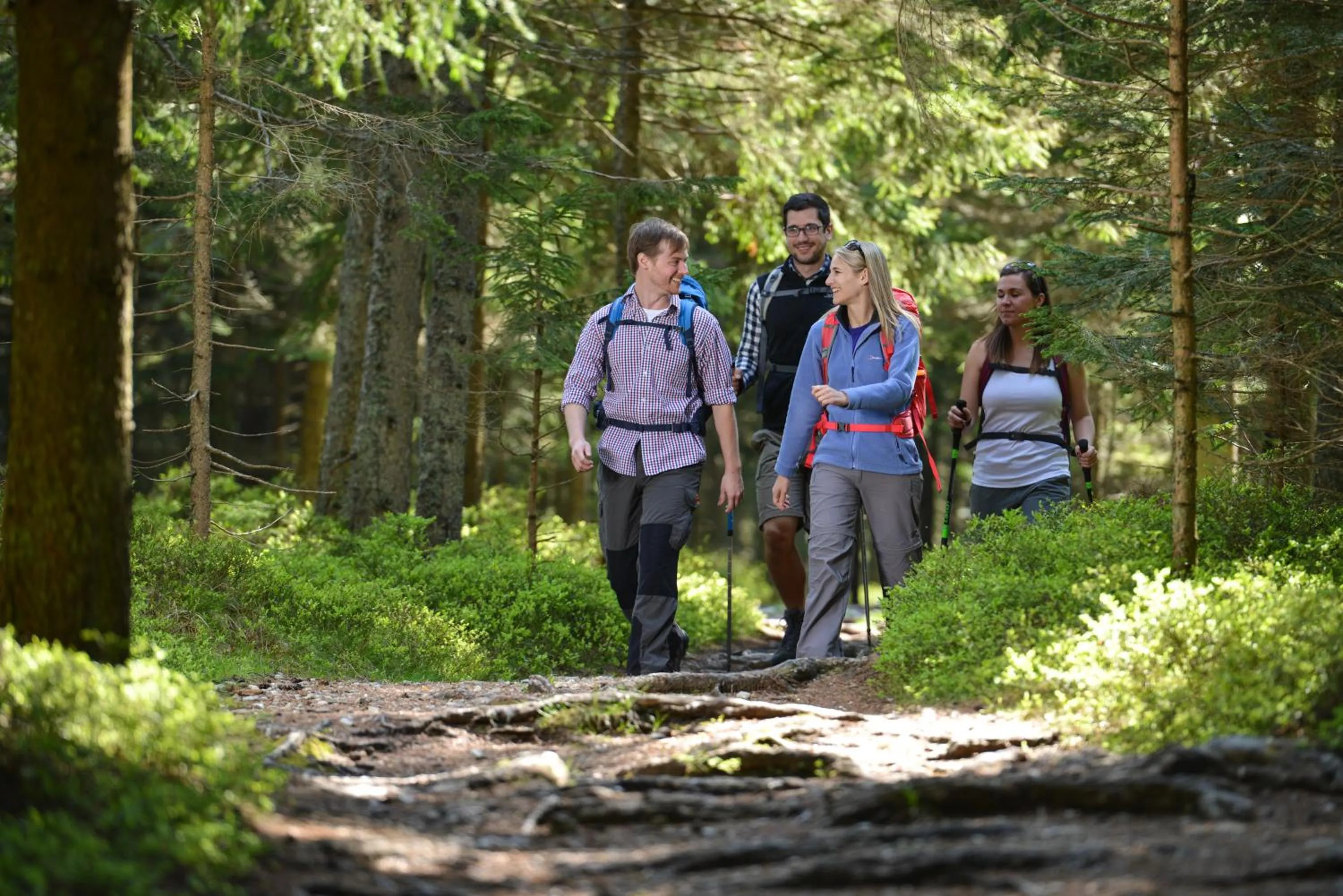 Hiking in Roseggerhof