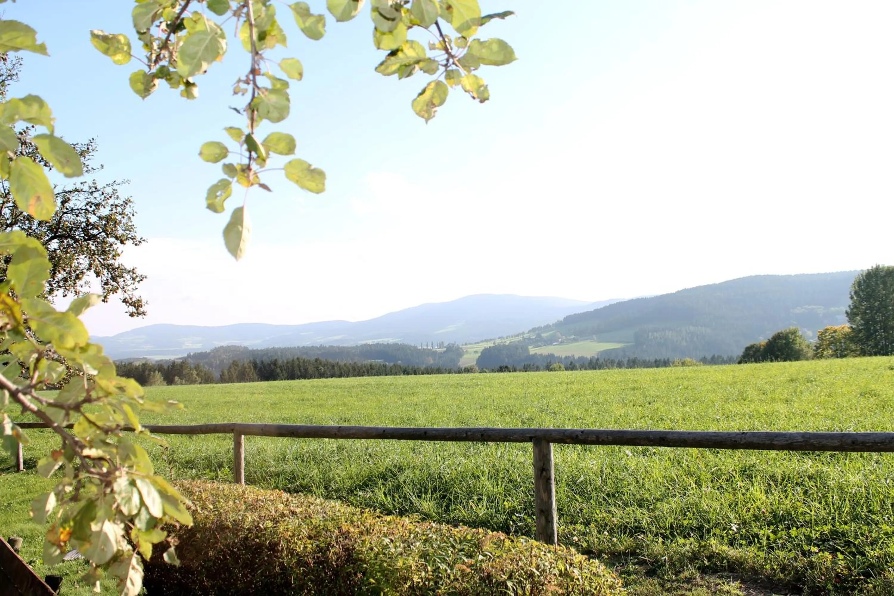 Hiking in Roseggerhof