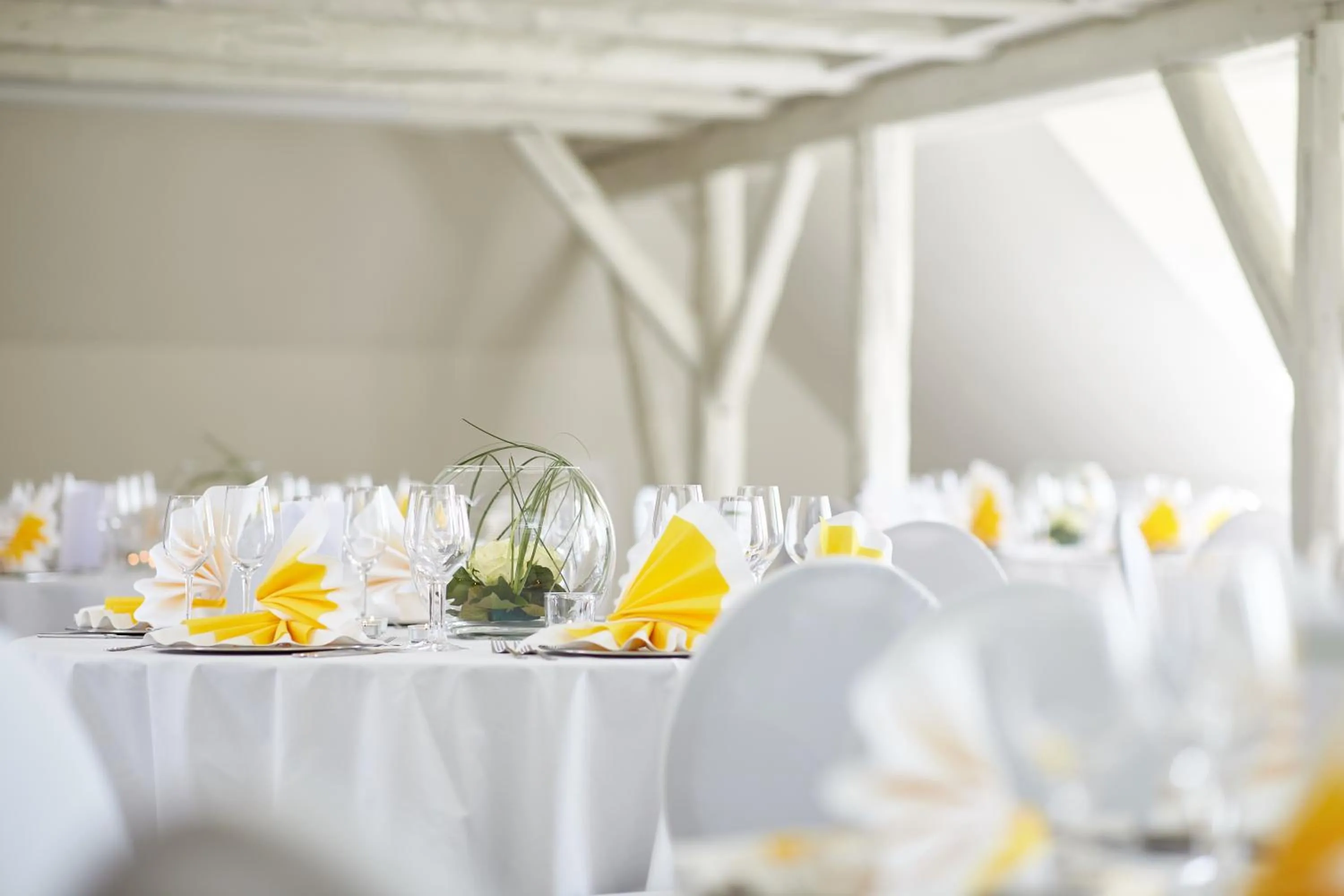 Banquet/Function facilities in Van der Valk Golfhotel Serrahn - Adult Only